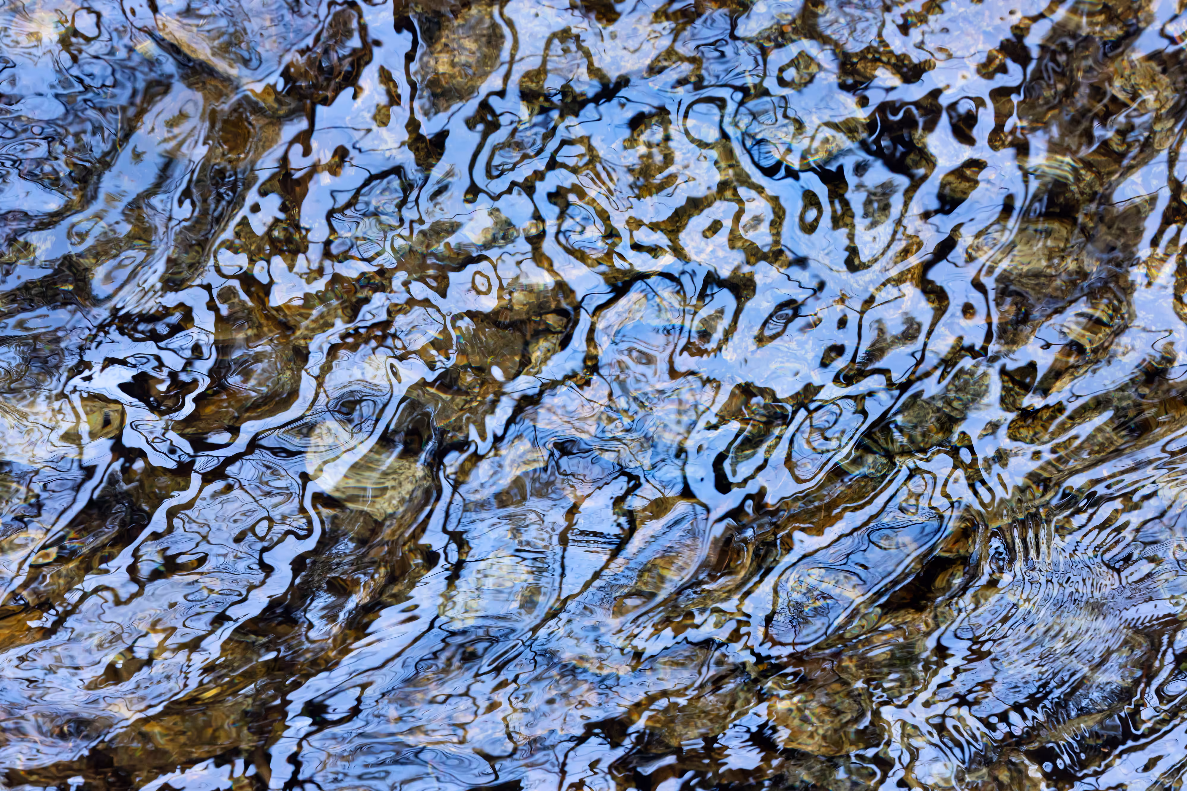 Ebb and Flow #46a