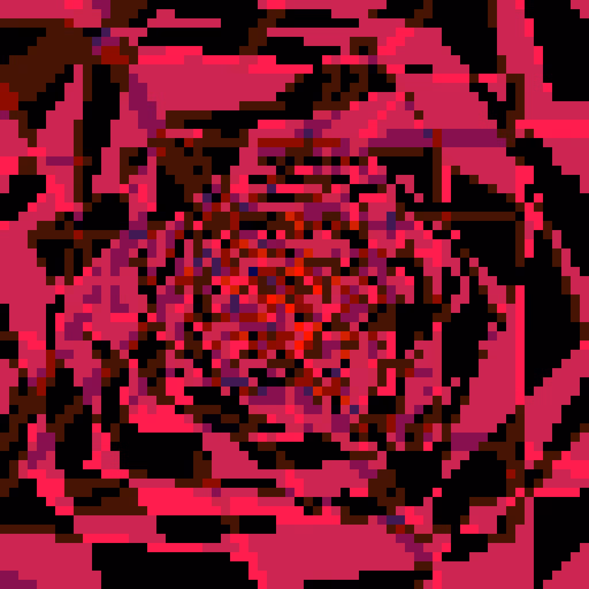 Voidroses #2
