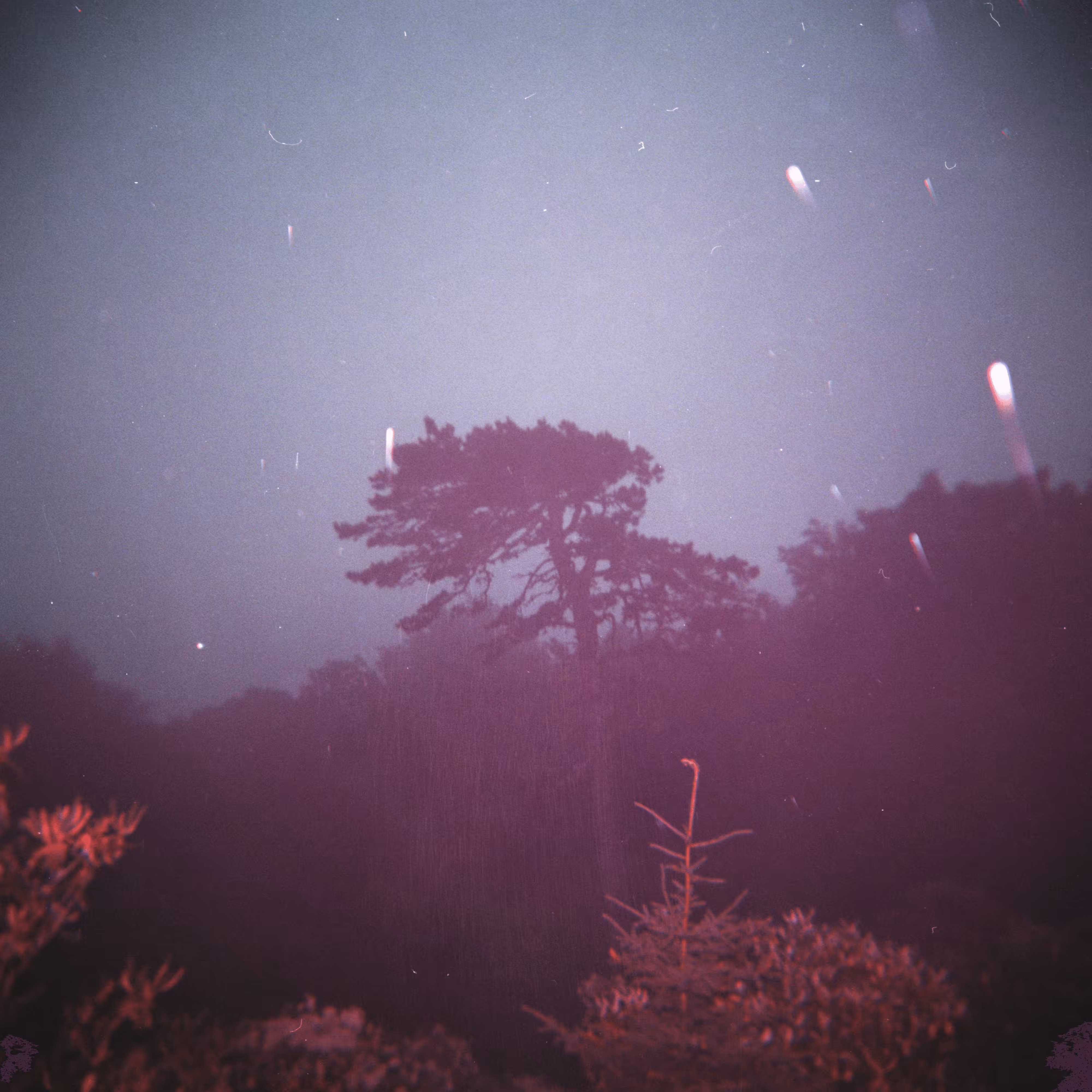 Shot on Holga #11: Lonesome