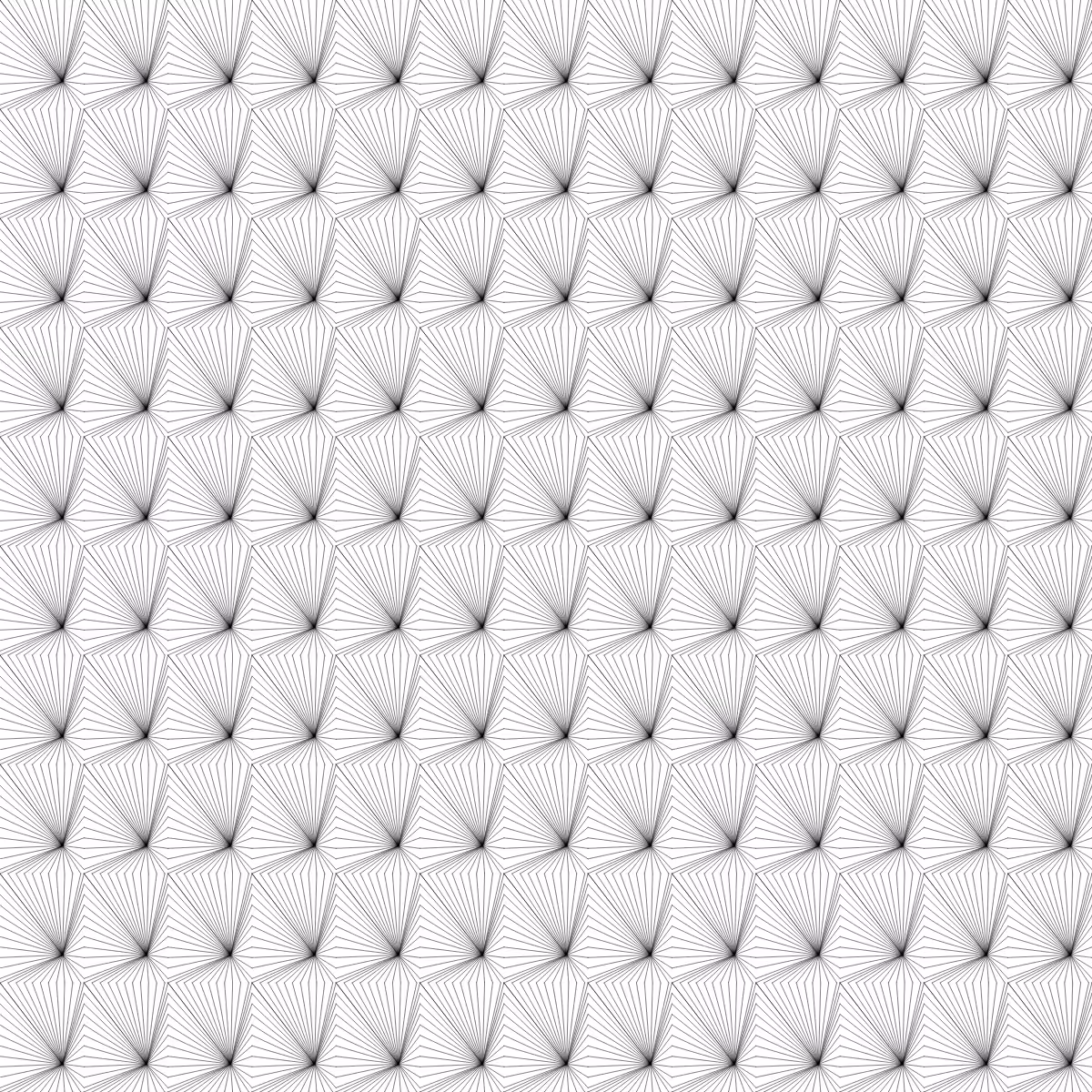 Noir et Blanc #160