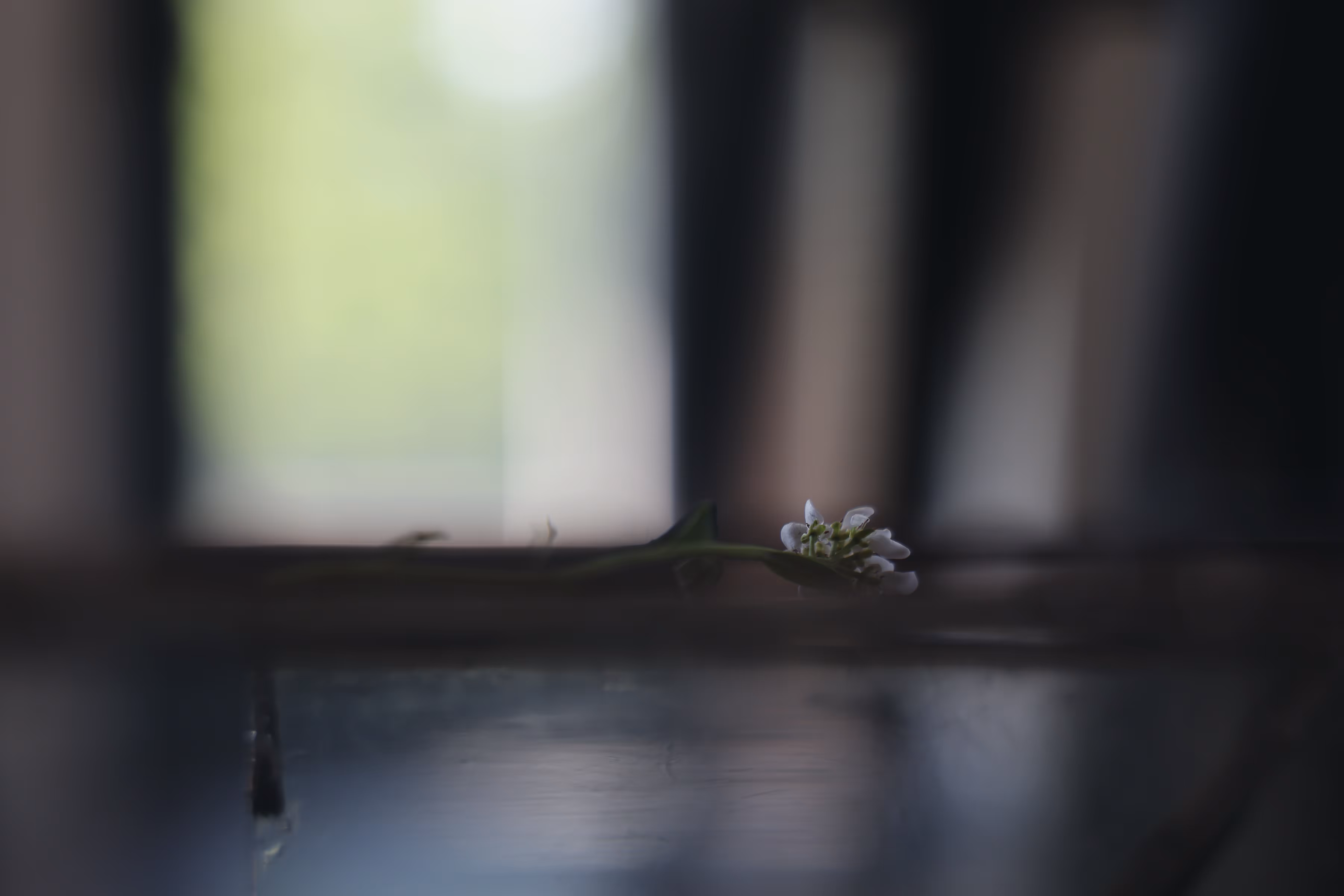 _climb