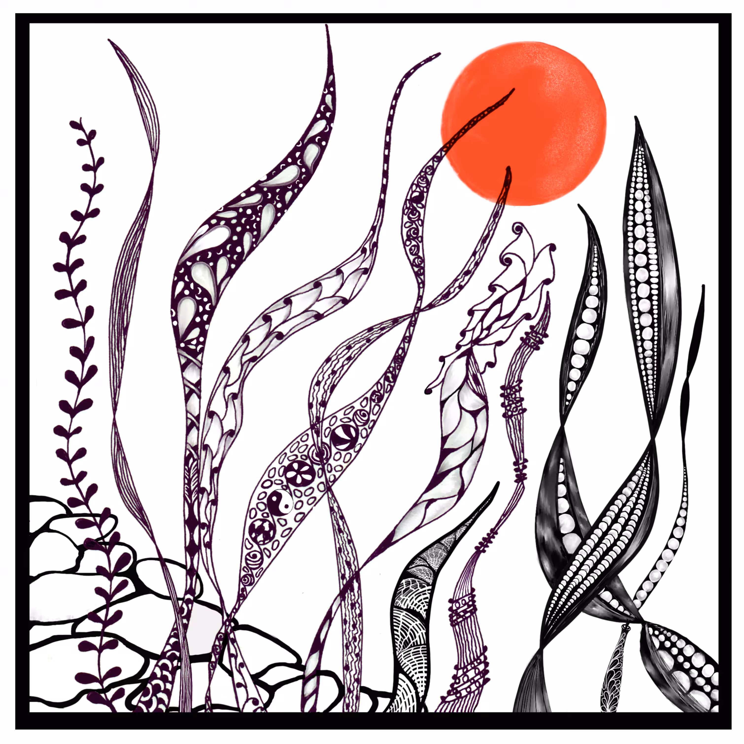 Zen Garden