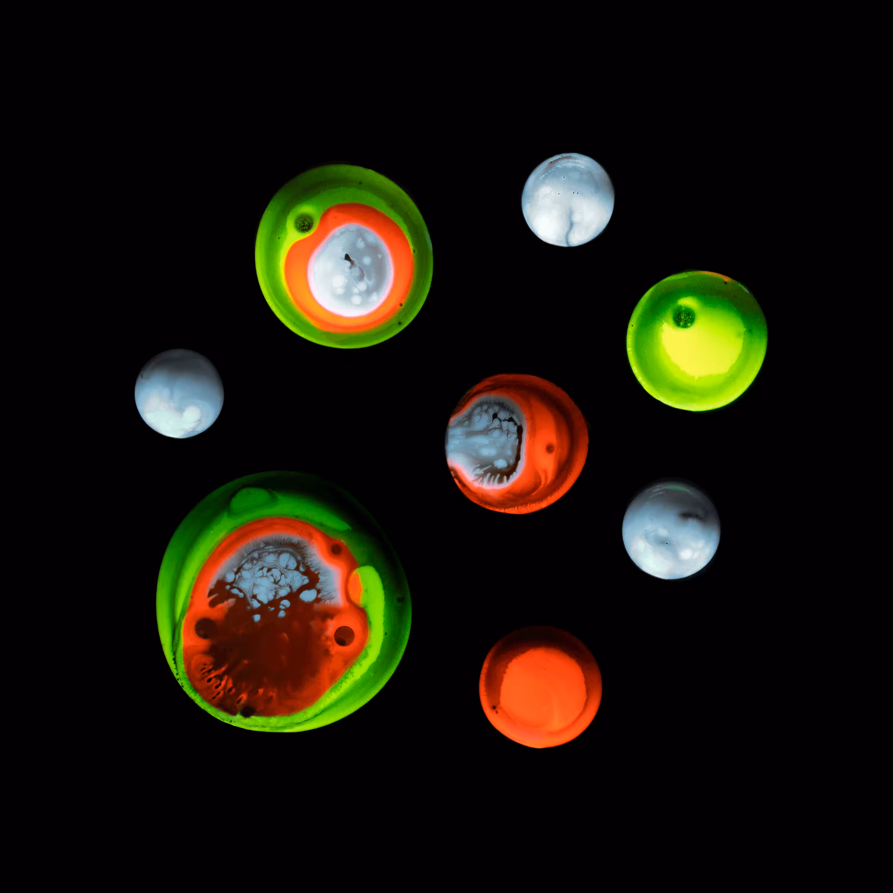 Haematopoiesis #213