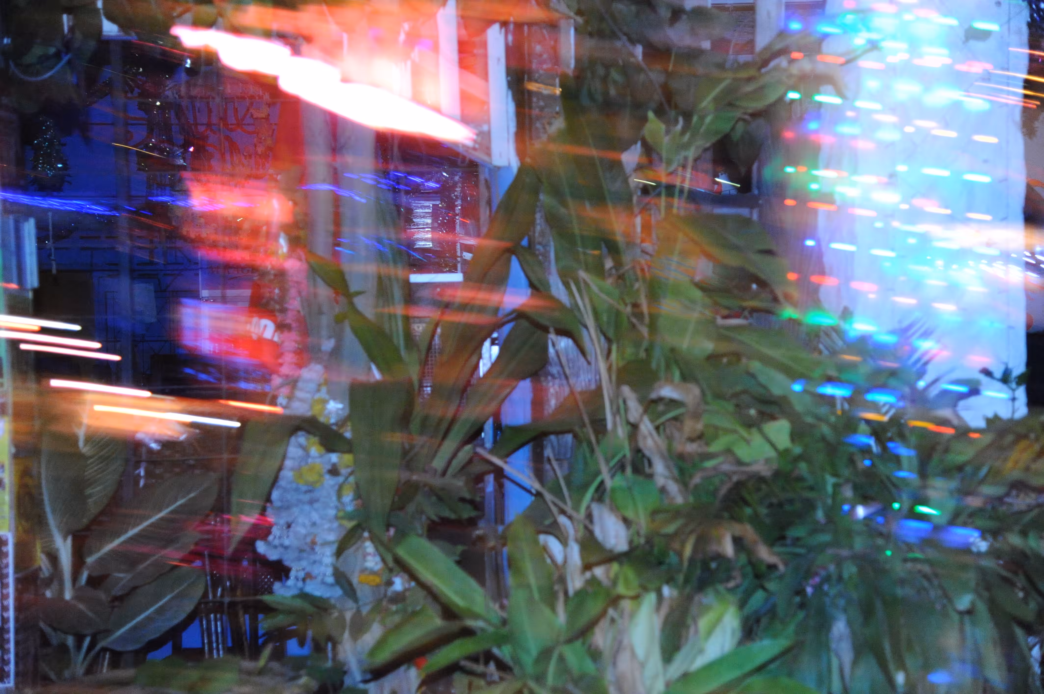 Day51- Burning desire/Asian night