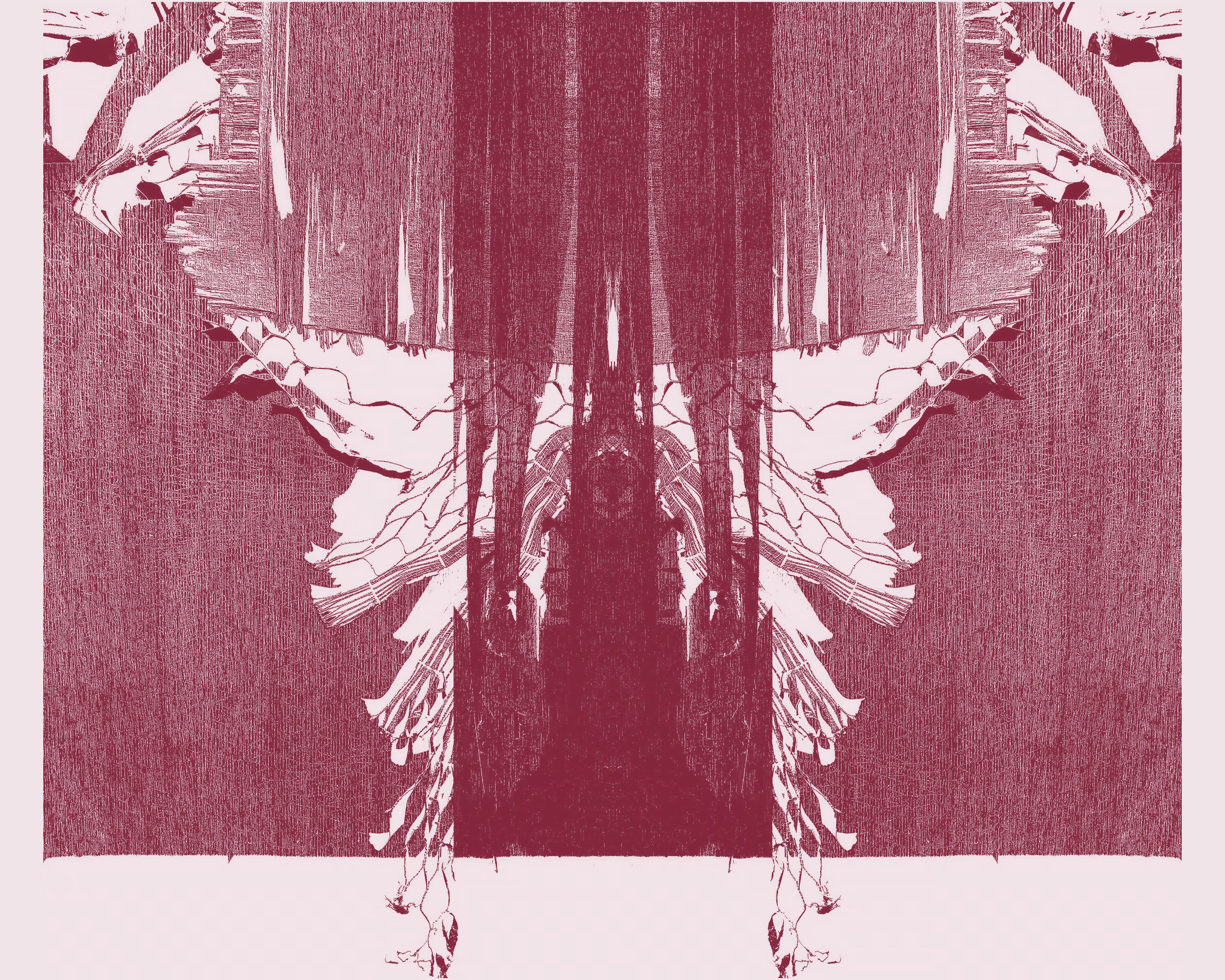 Butterfly #6