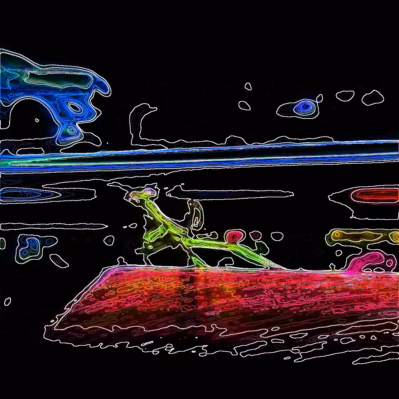 "Mantis"  from insect series