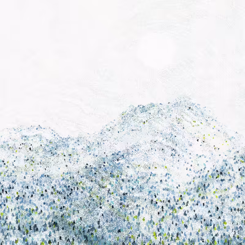Cold Mountain #93