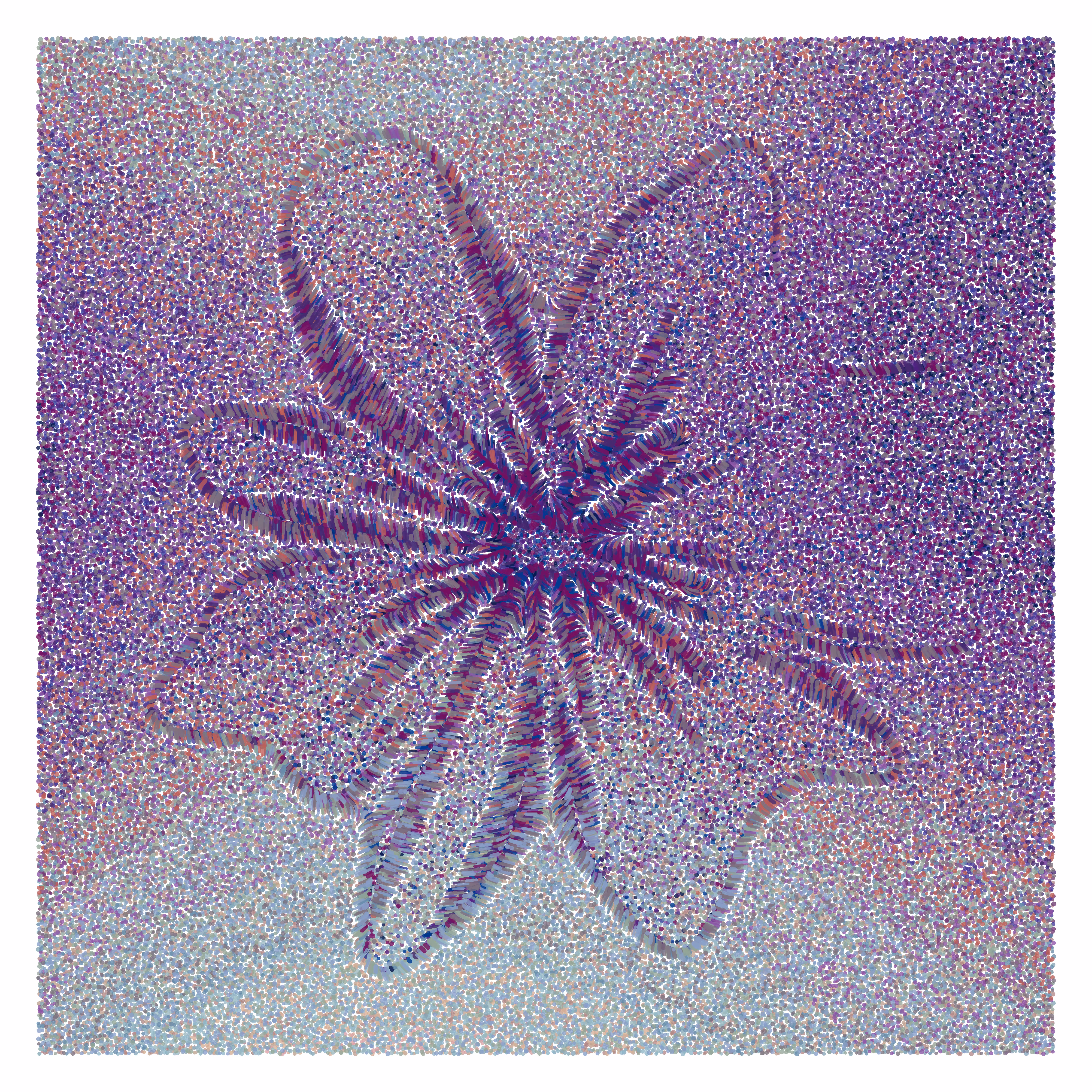 Flower Portrait #38
