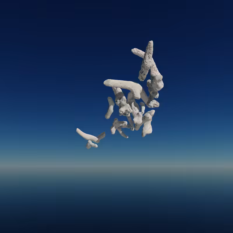 Bone Work (Gulf of Mexico) 2022 #68