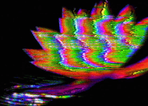 memory_decoder: lotus_in_bloom