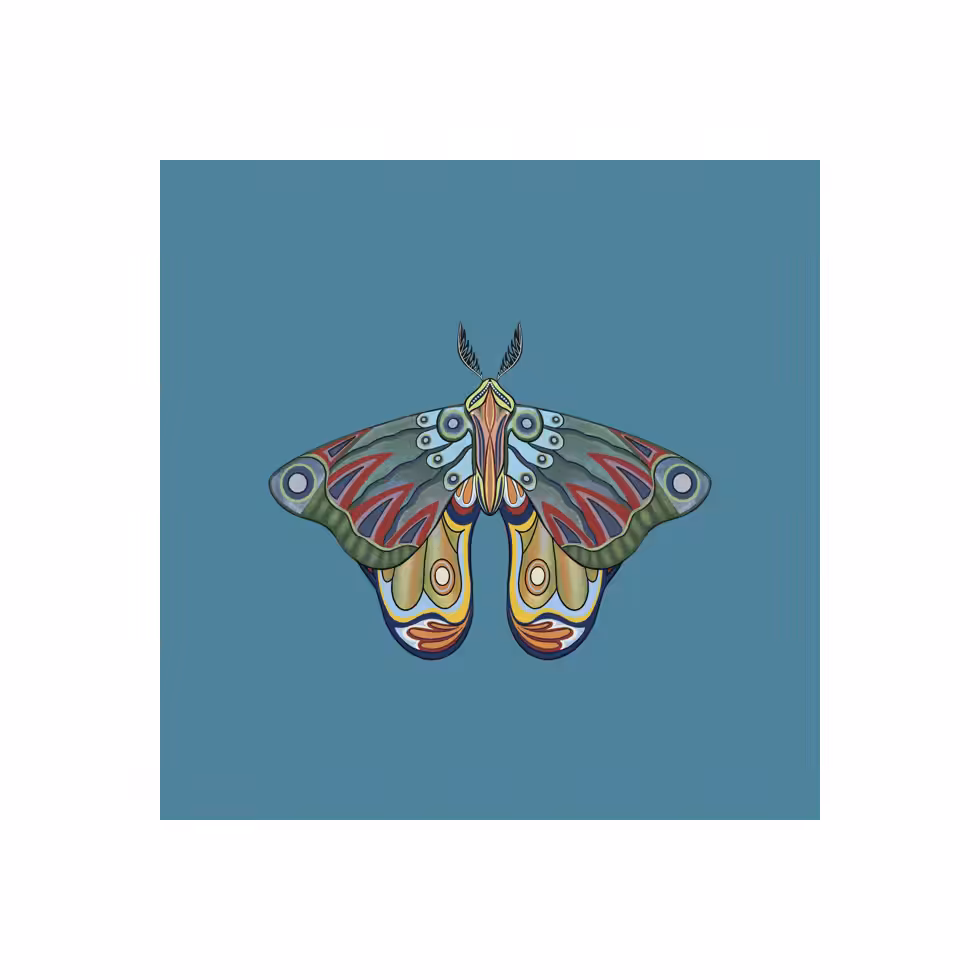 The Moth Experiment #26