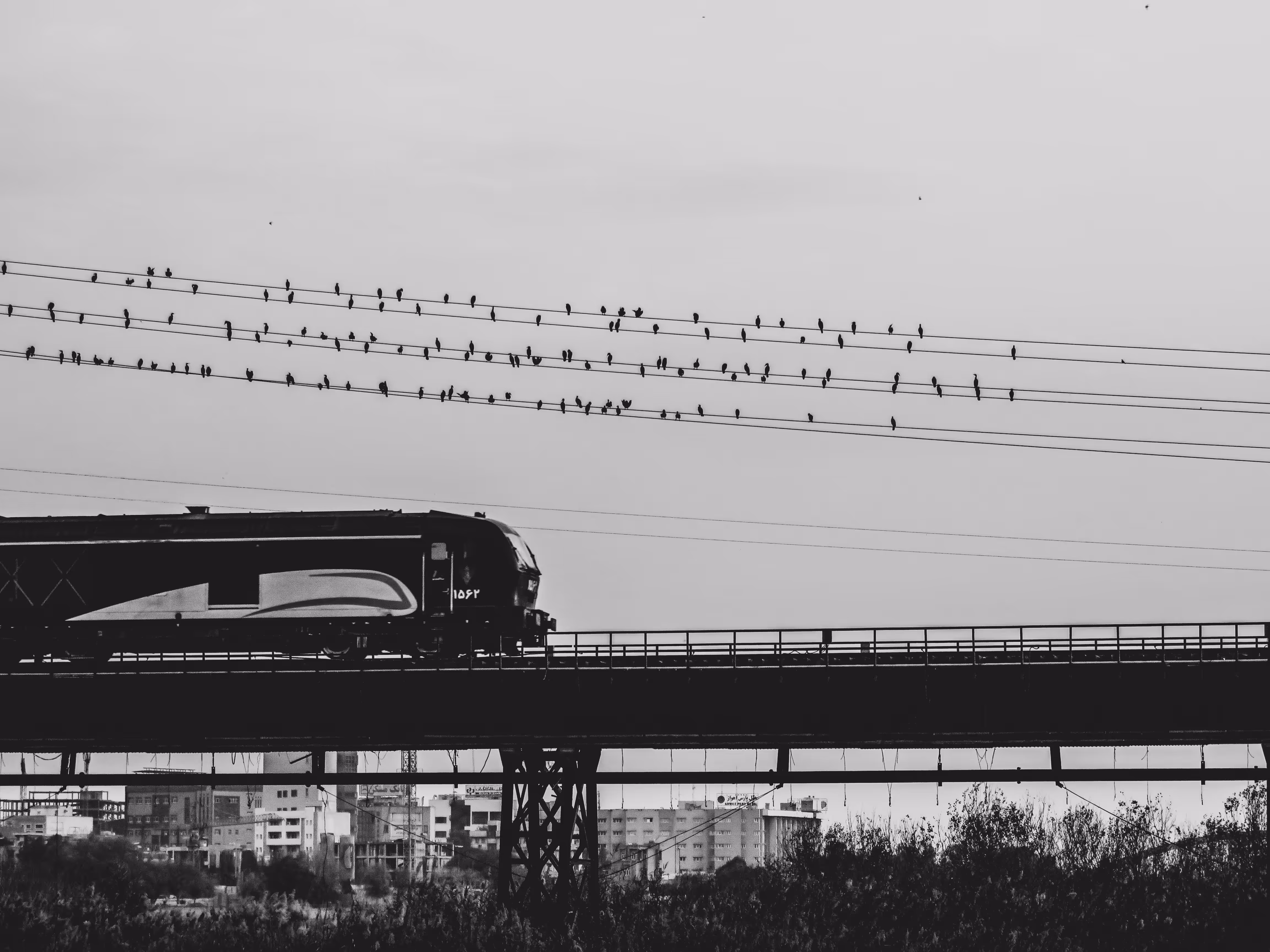 Train of Life