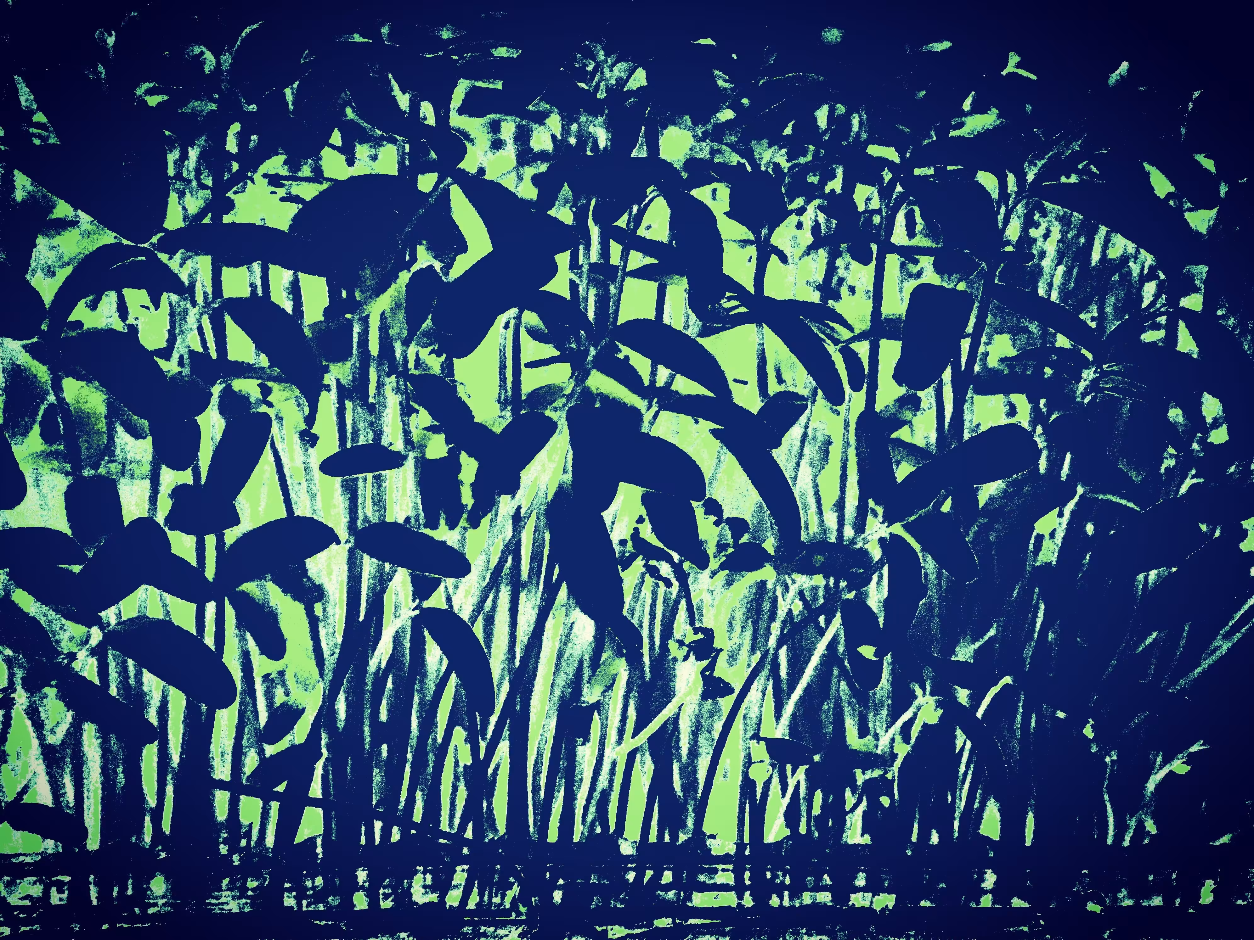 butterflies in a bamboo forest