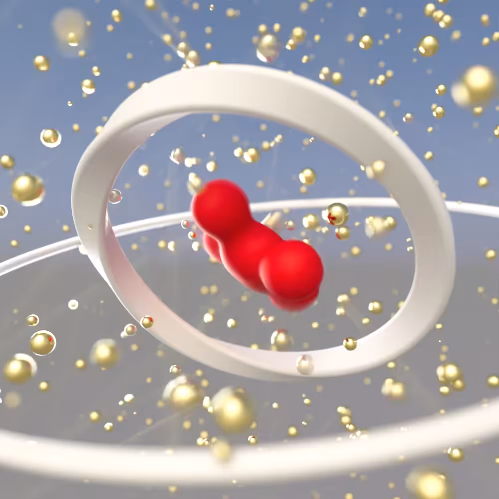 Attractor