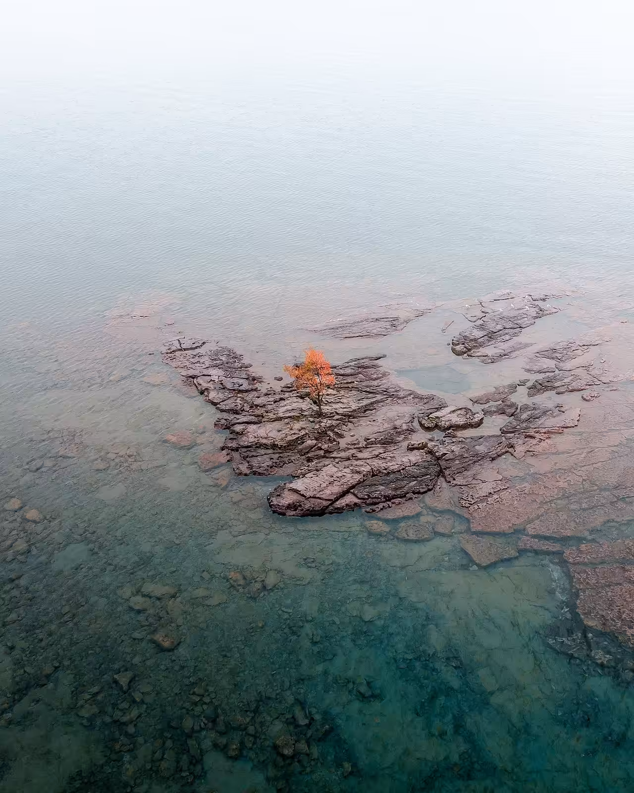 Loner