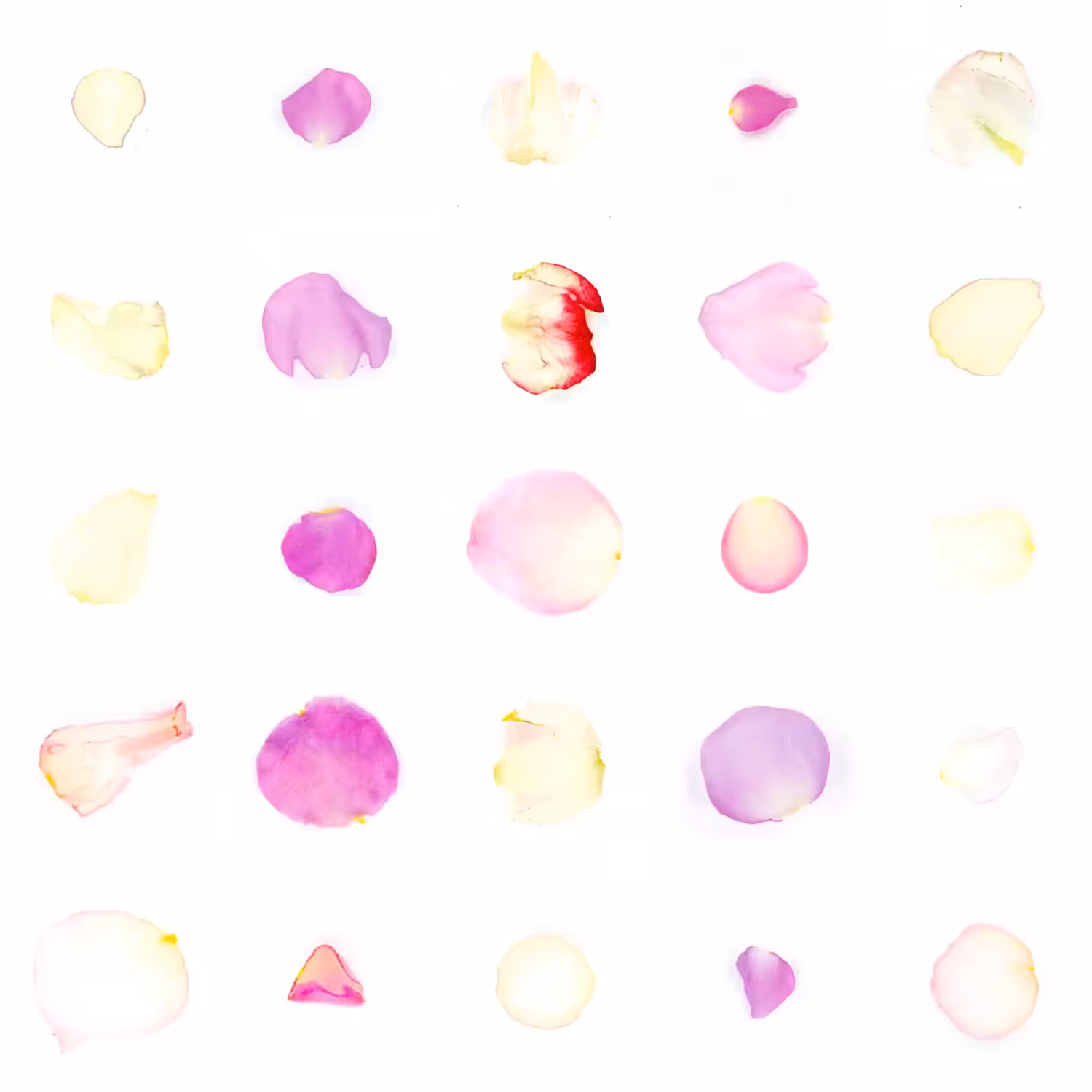 Infinite Petals 5x5#20600