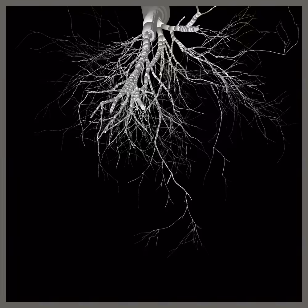 Arbres suspendus #221
