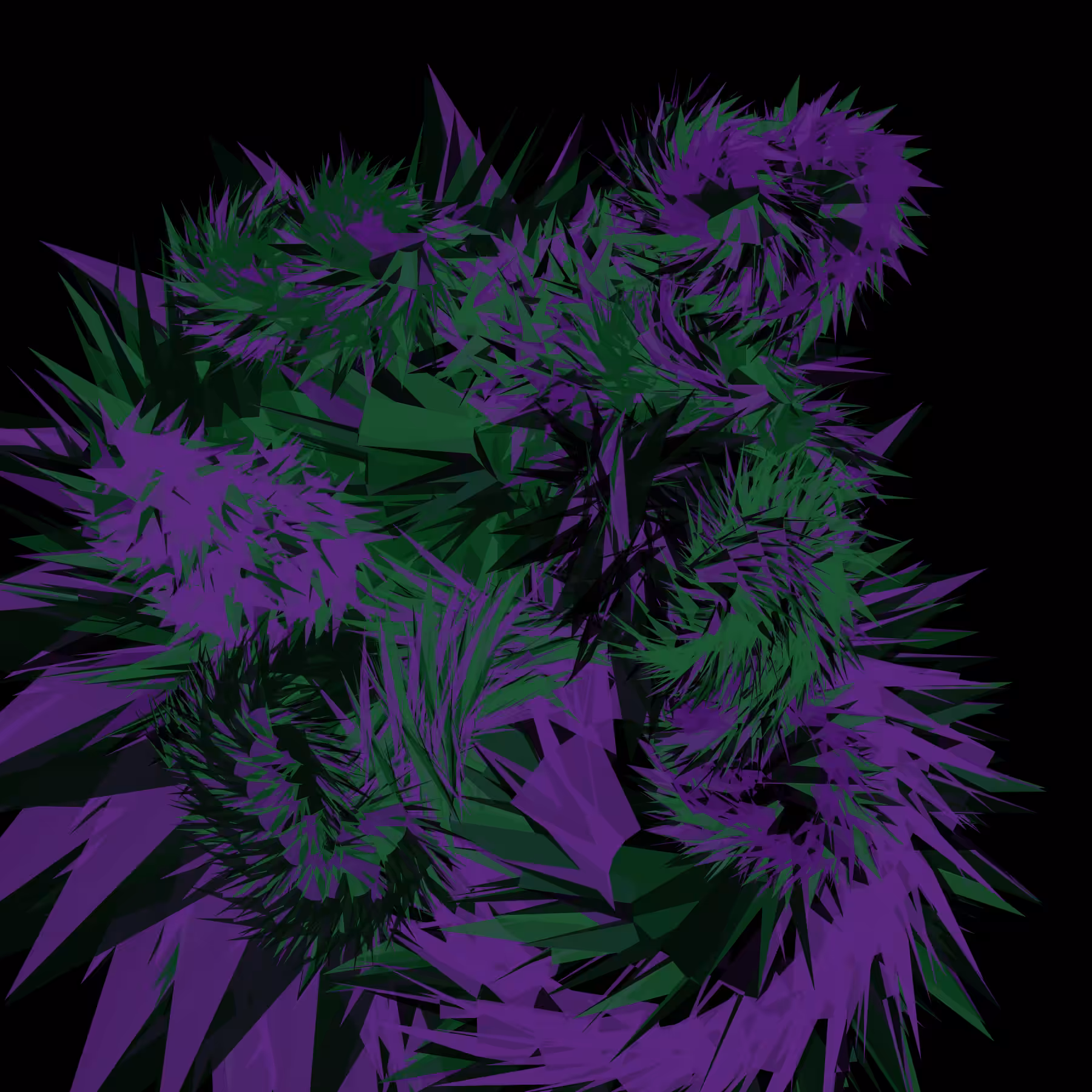 Tillandsia Pop Glitch #7