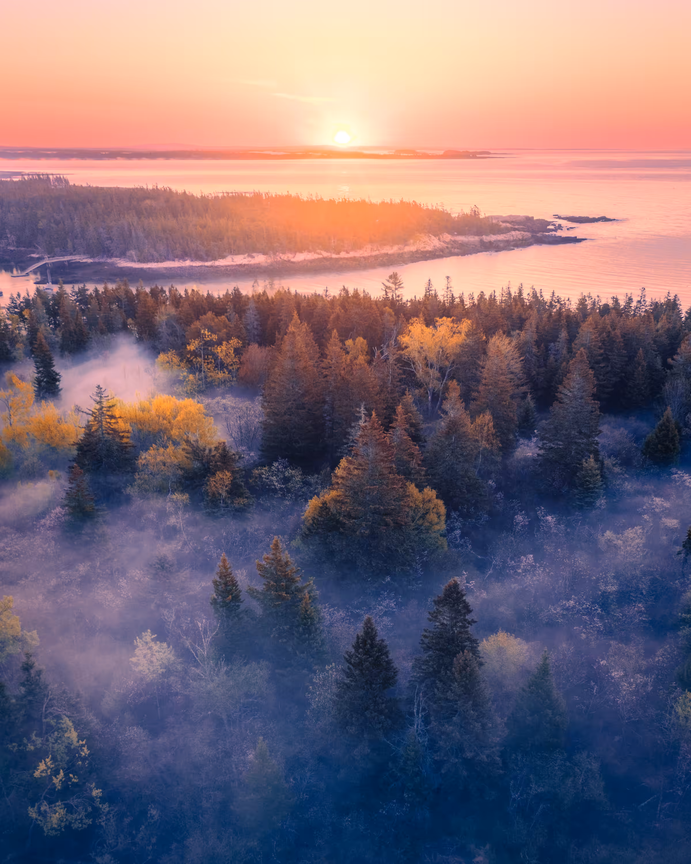 Acadia Morning