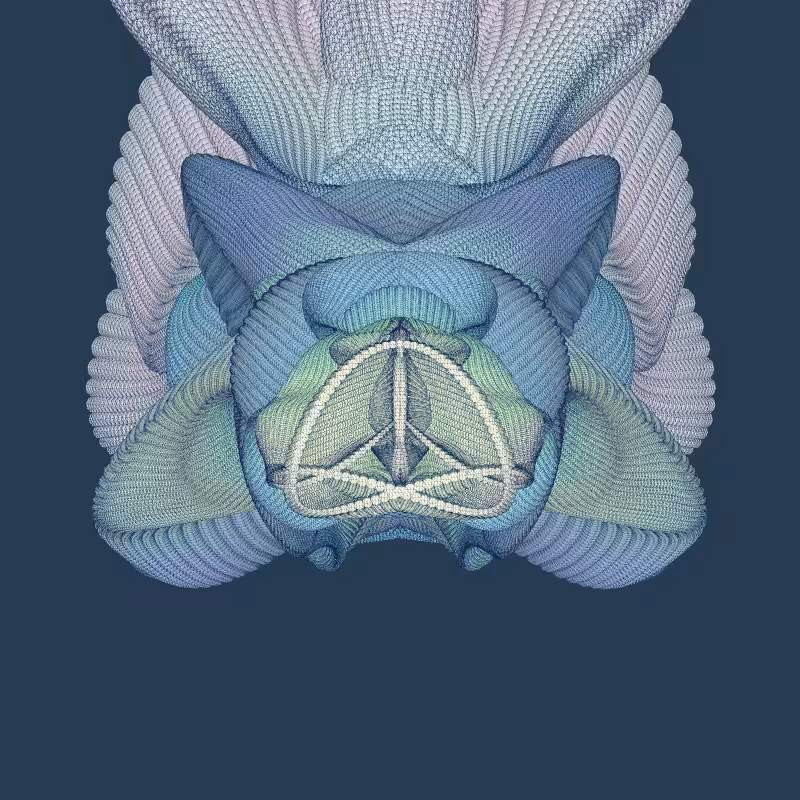 Zaratan #46