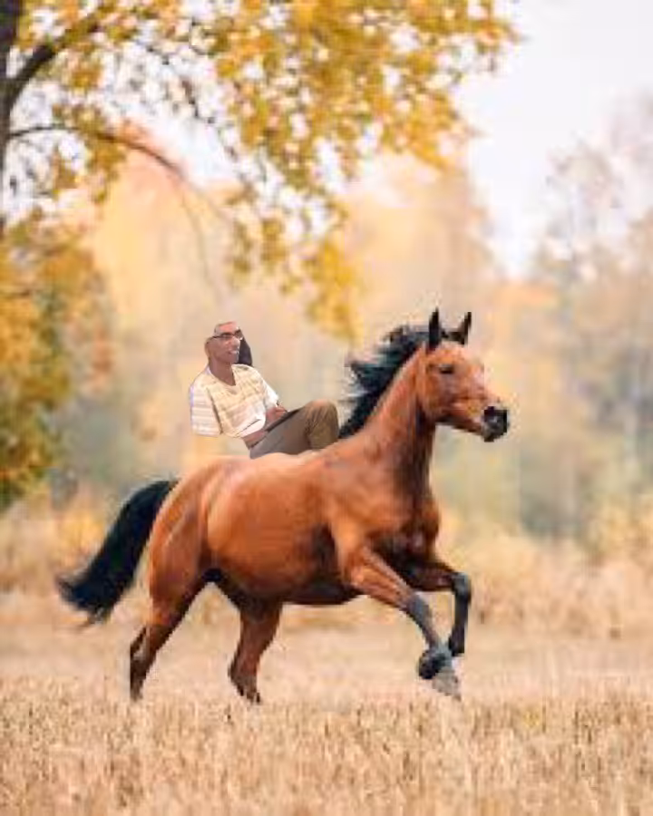 arjun plus horsie