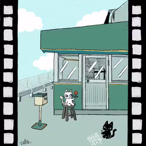 Travelng cats.rooftop