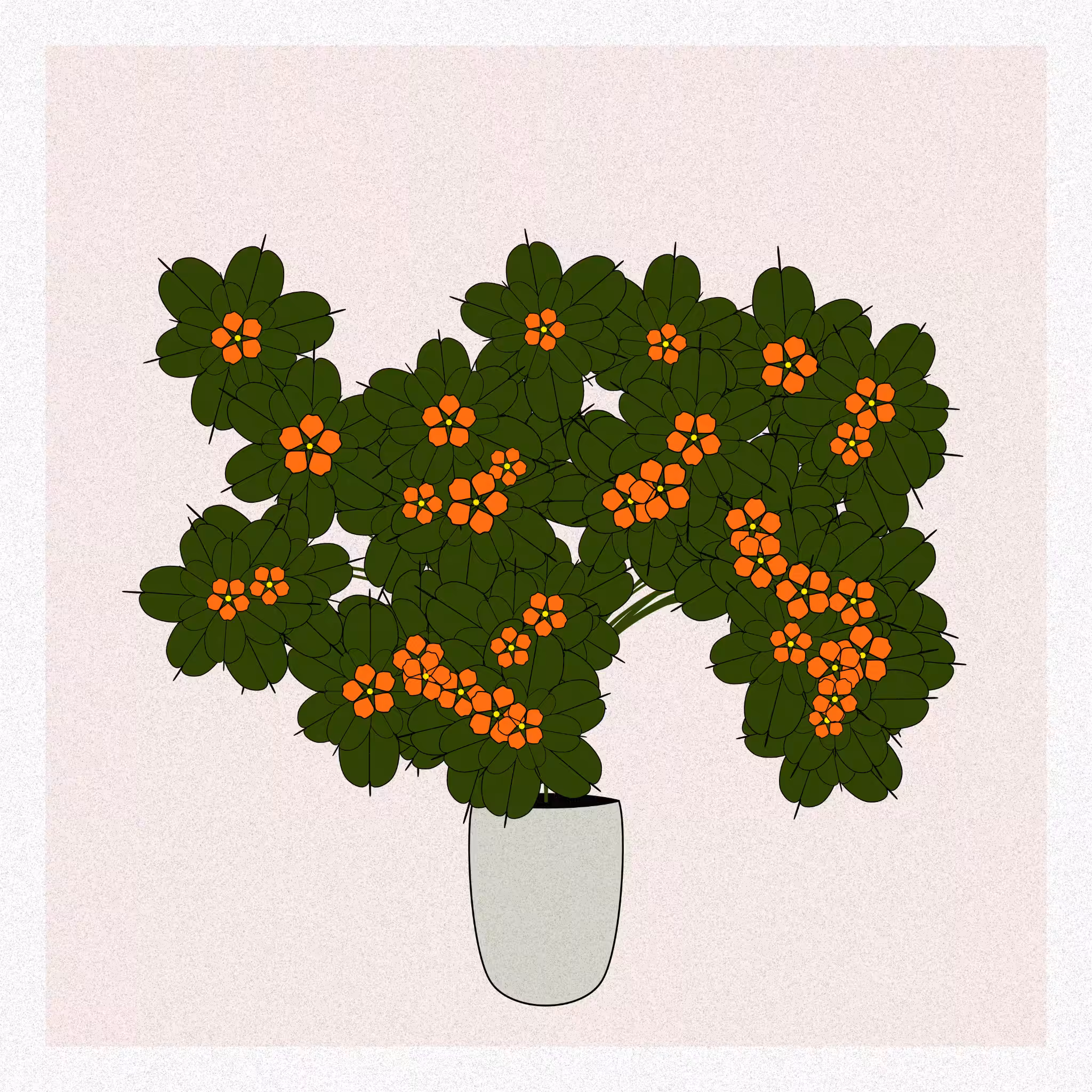 Flowers #118