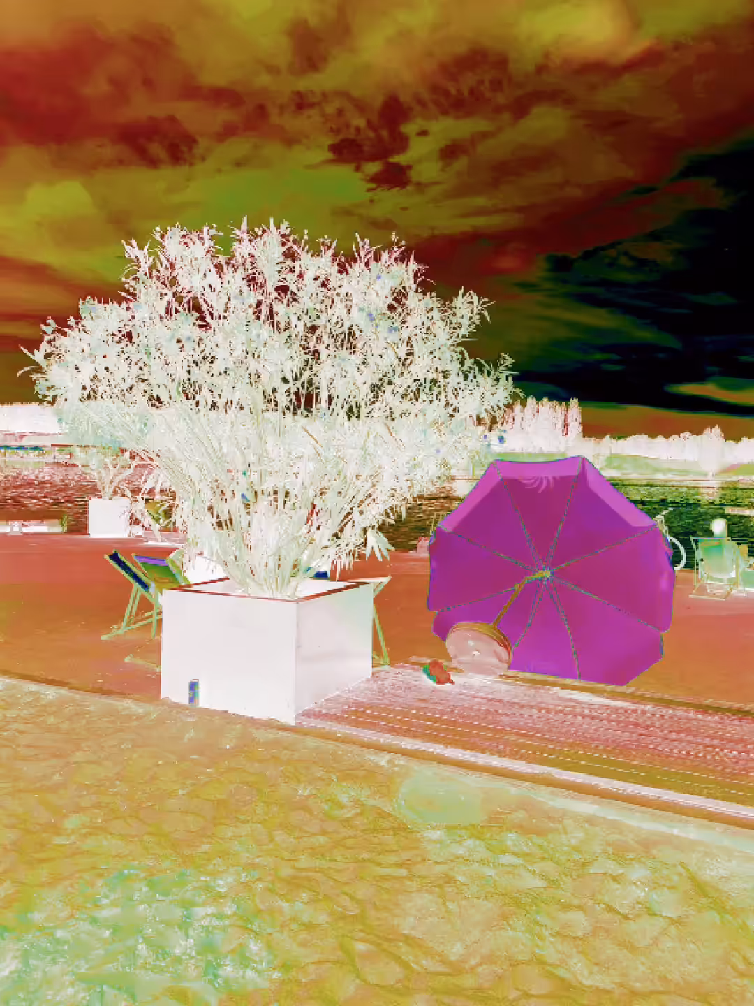 Broken Umbrella