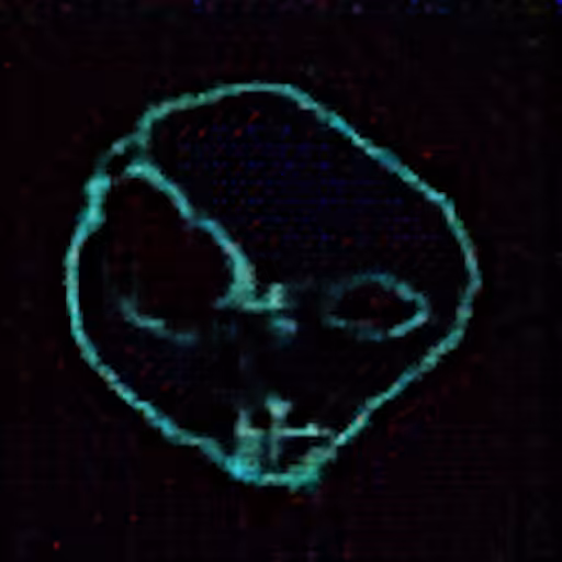 Representation of the Entity (v.1)