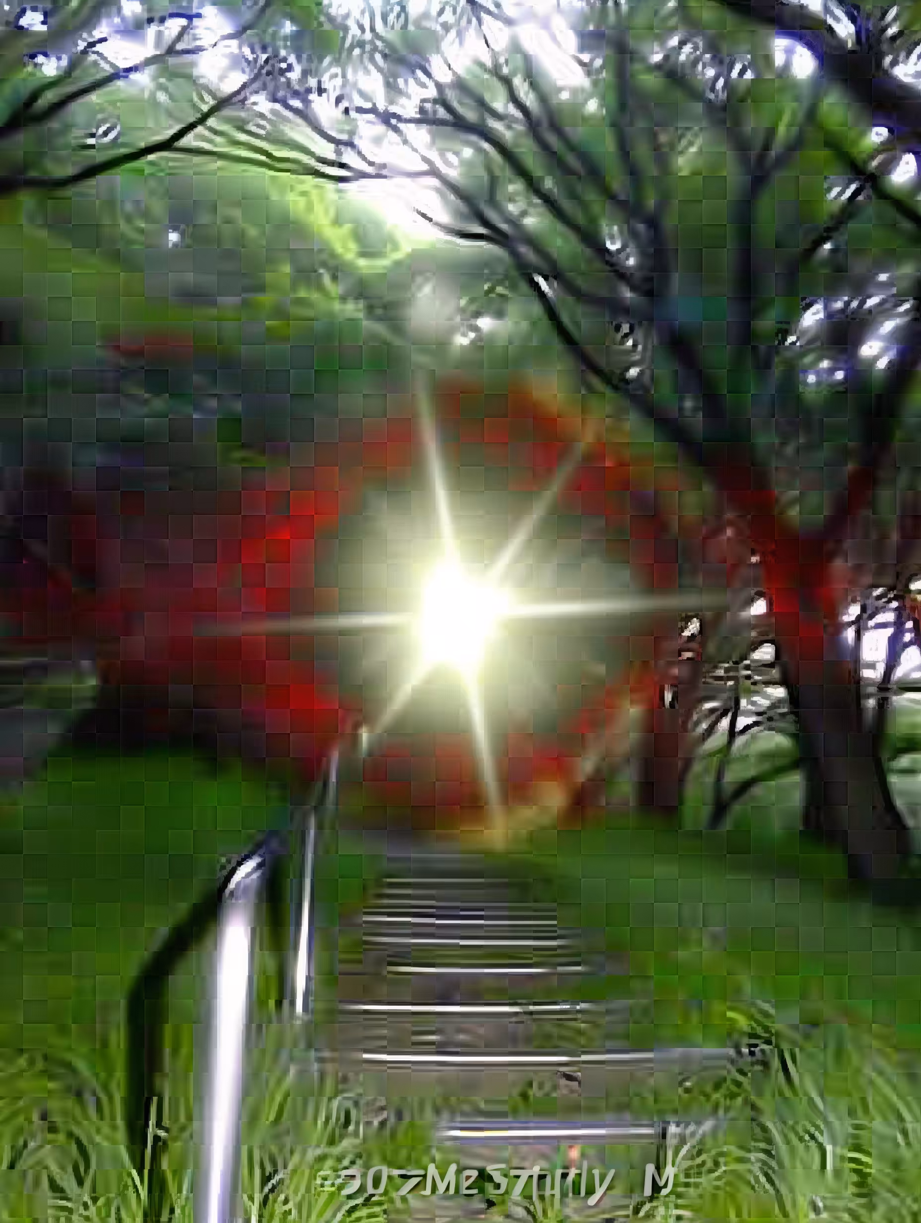 the path