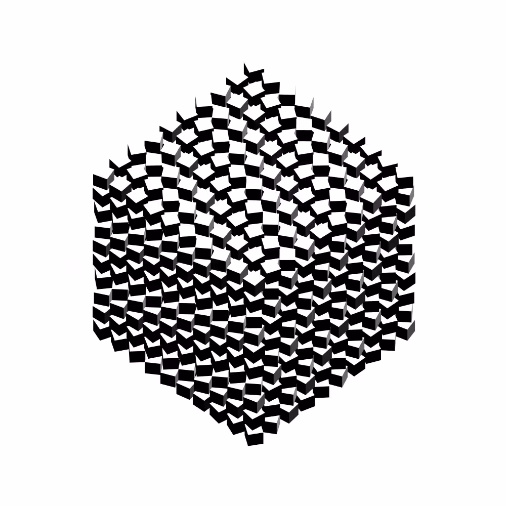 White Voxels