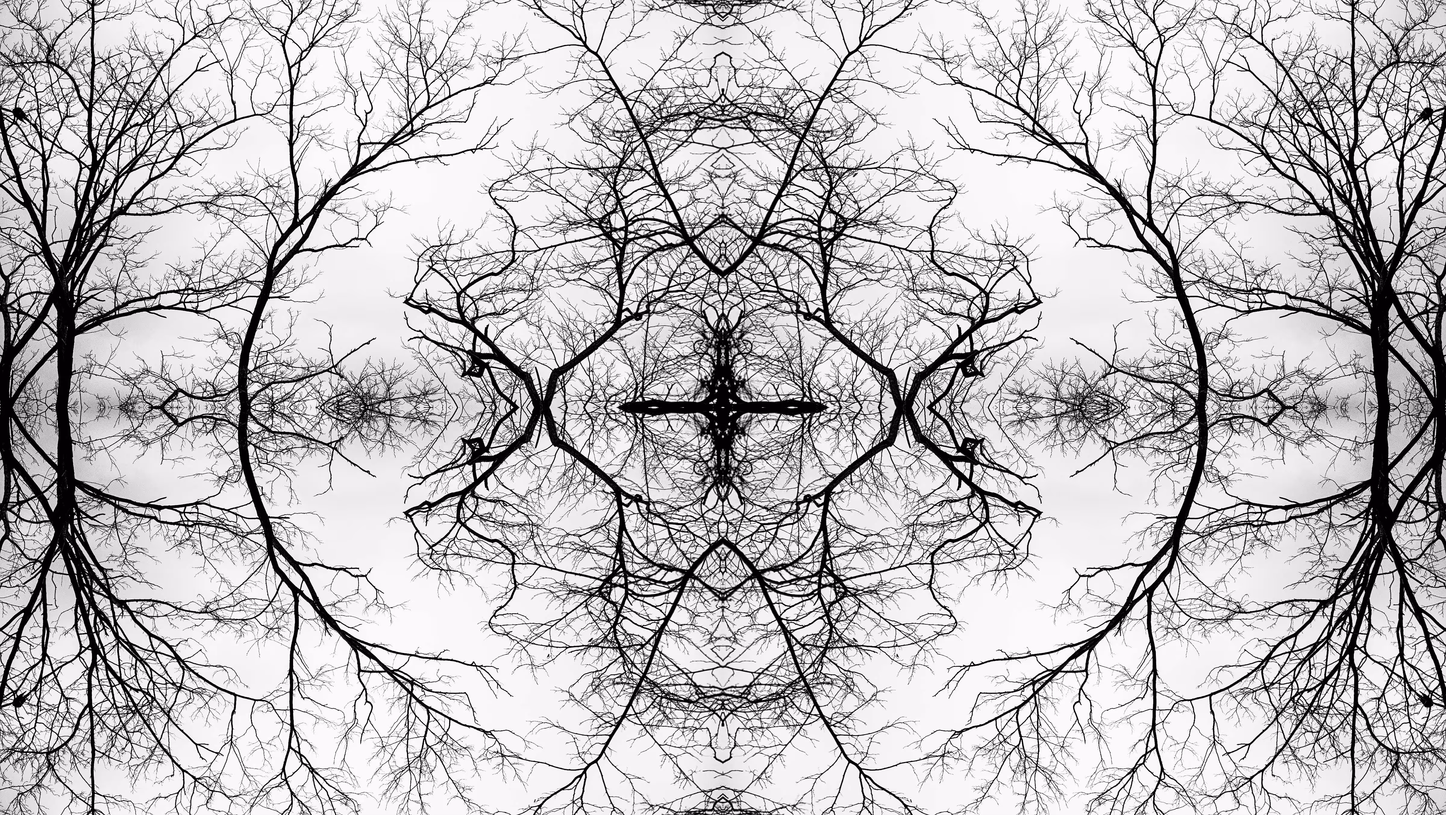 File 5908