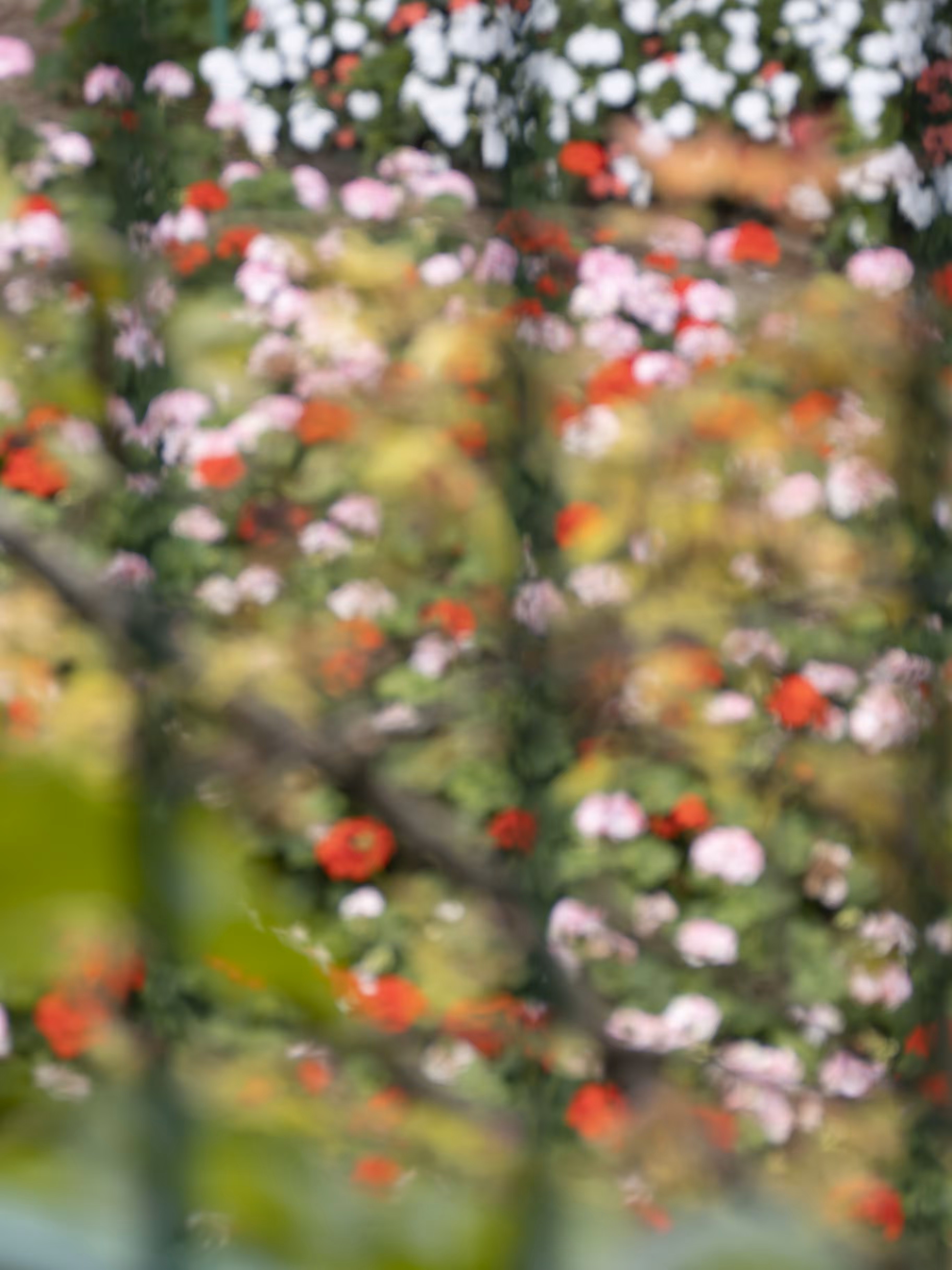 Giverny #4