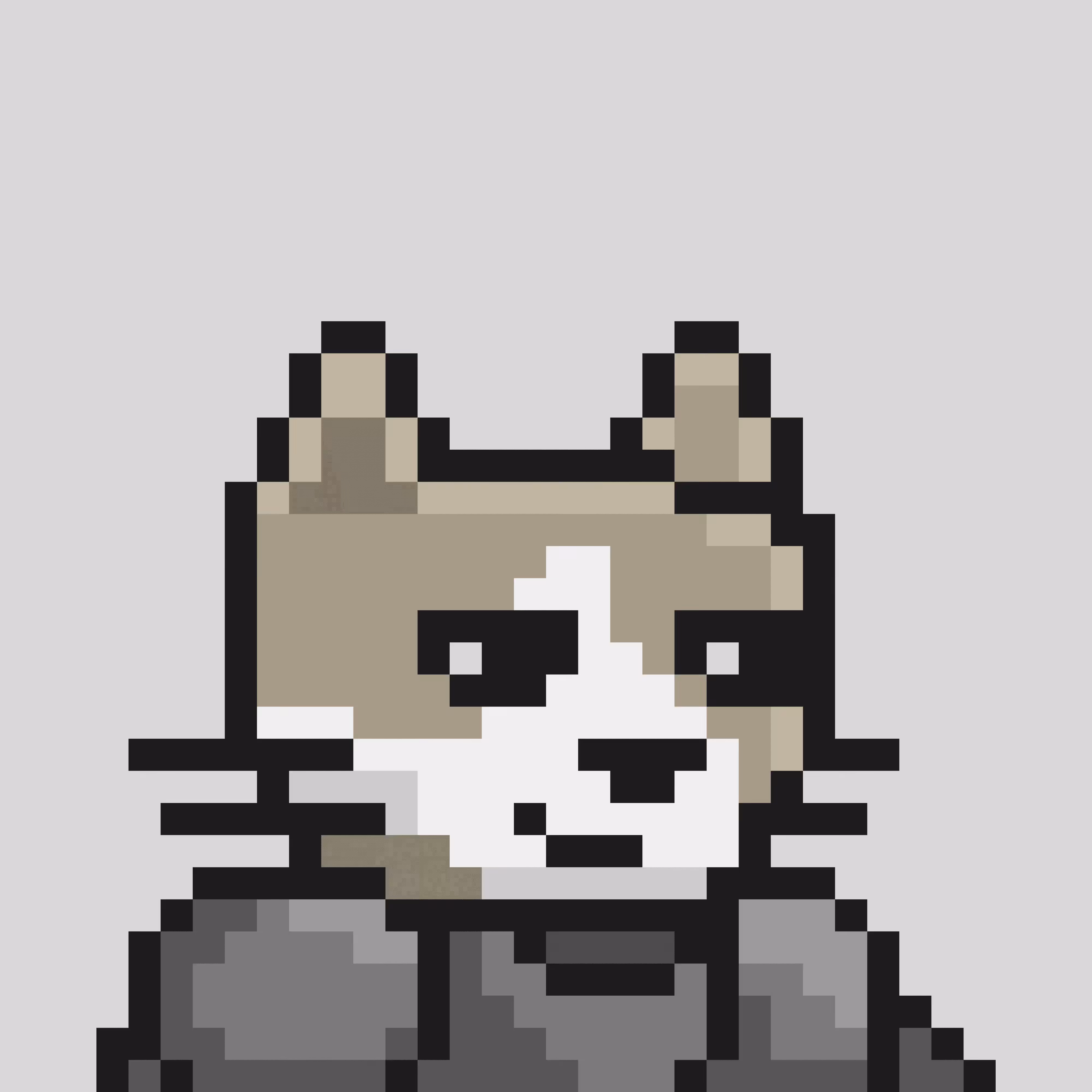 CryptoCat #2 The Soldier