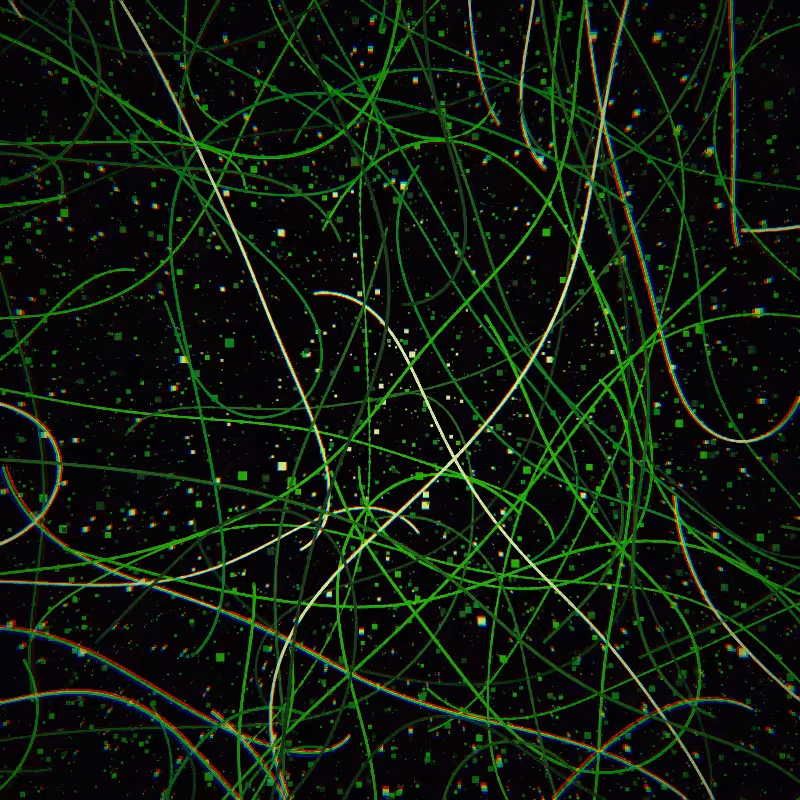 Neon Curves #19