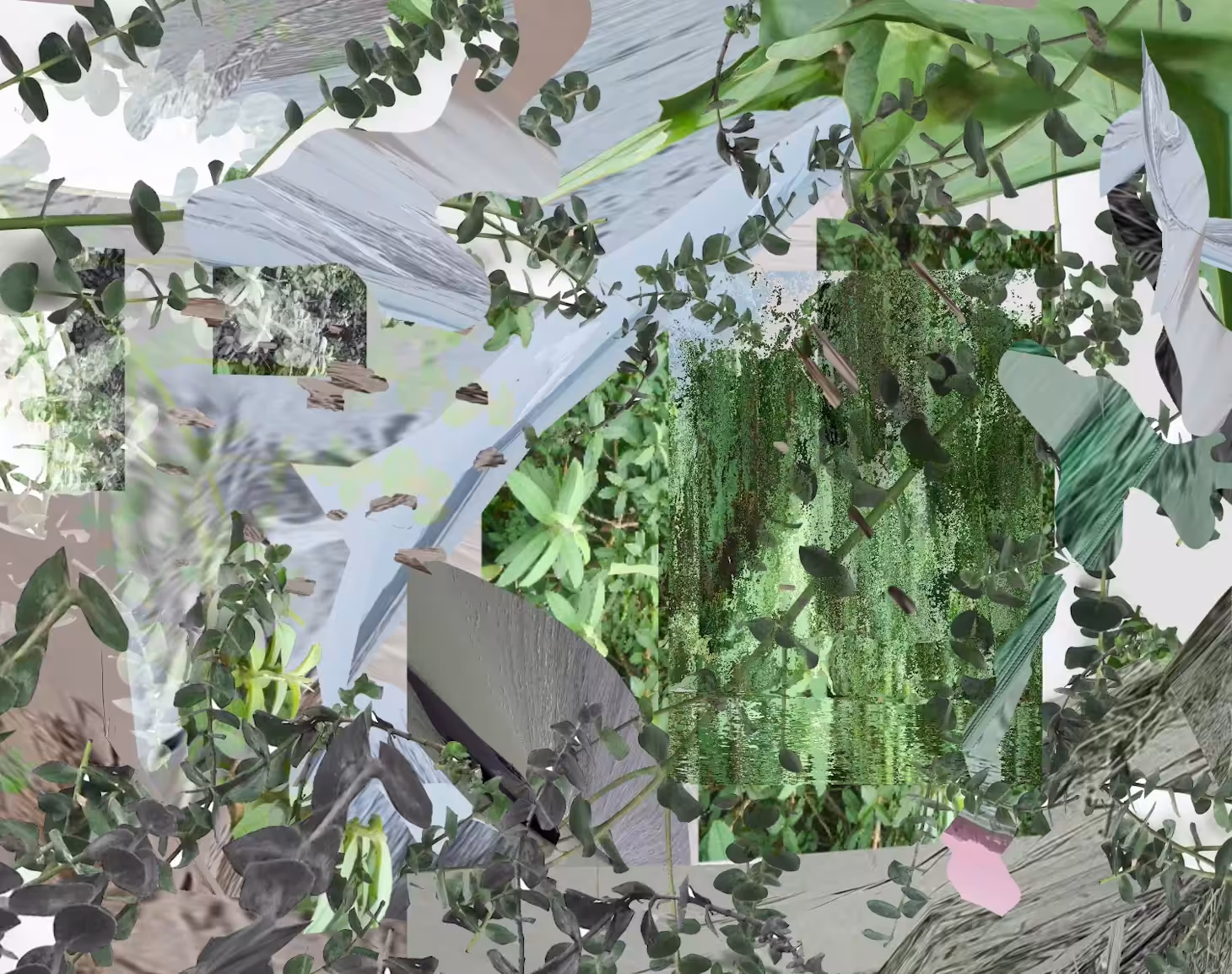 The Garden