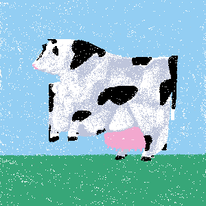 cow #40