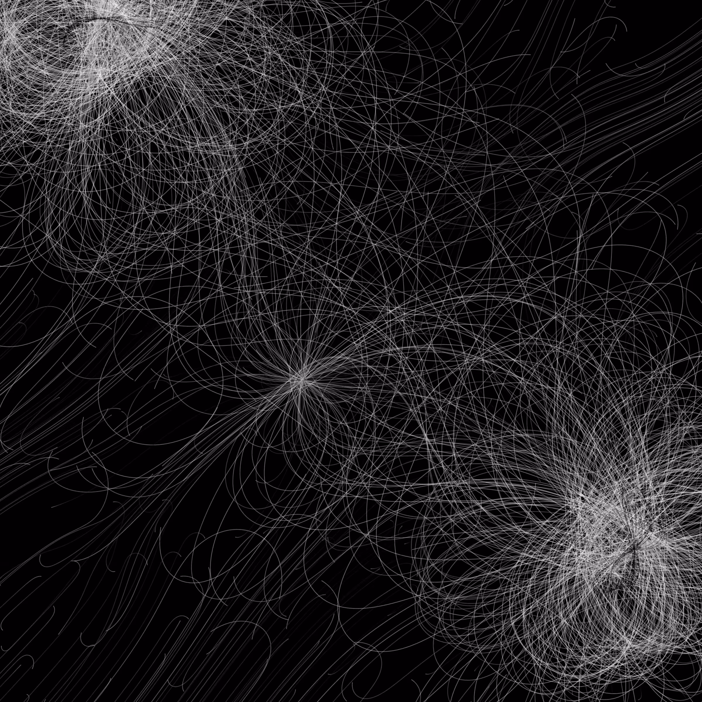 Phototaxis #967