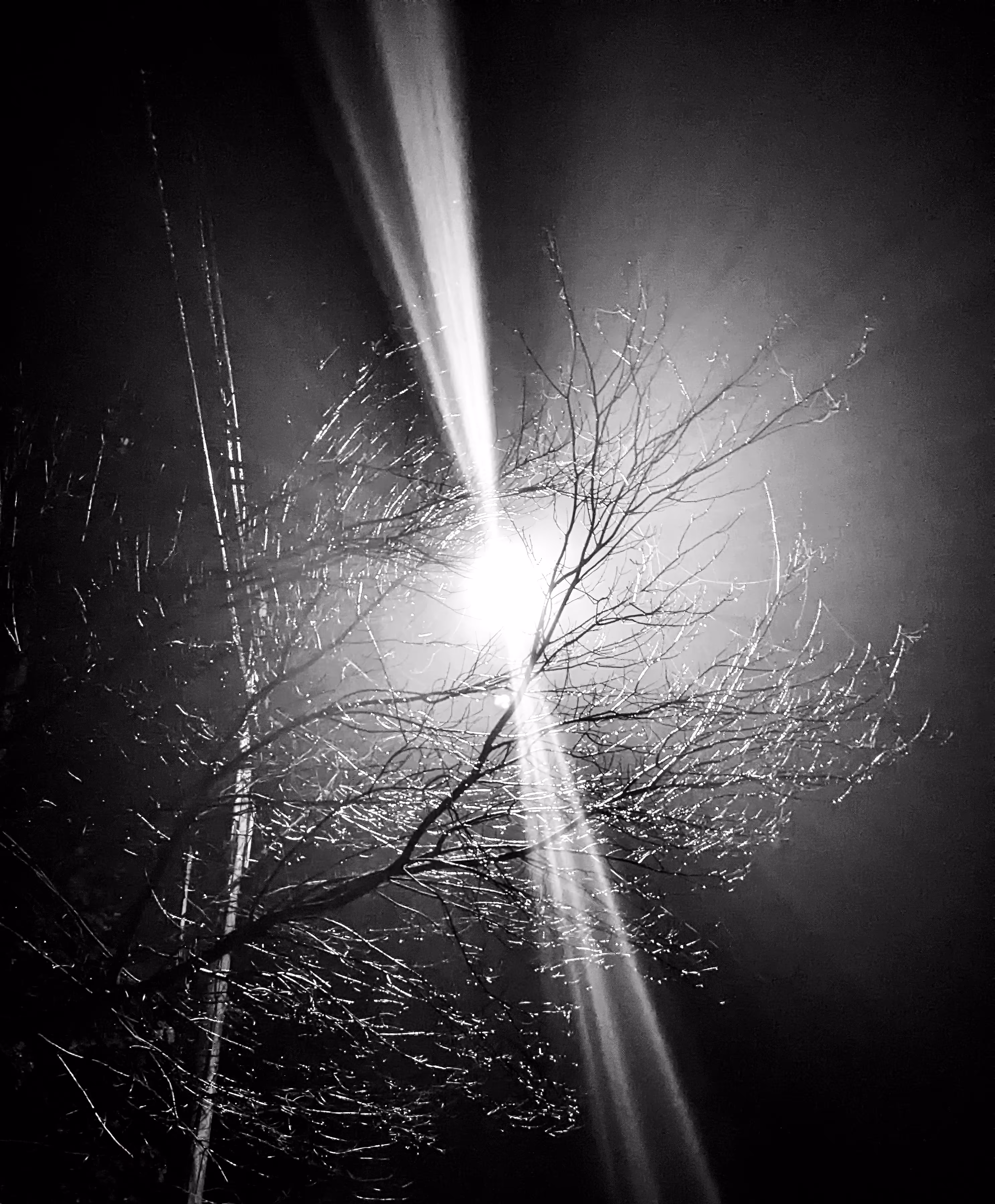 Glow