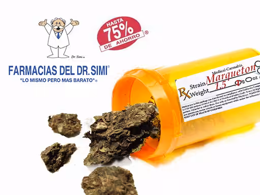 MOTA DE LA SIMILAR