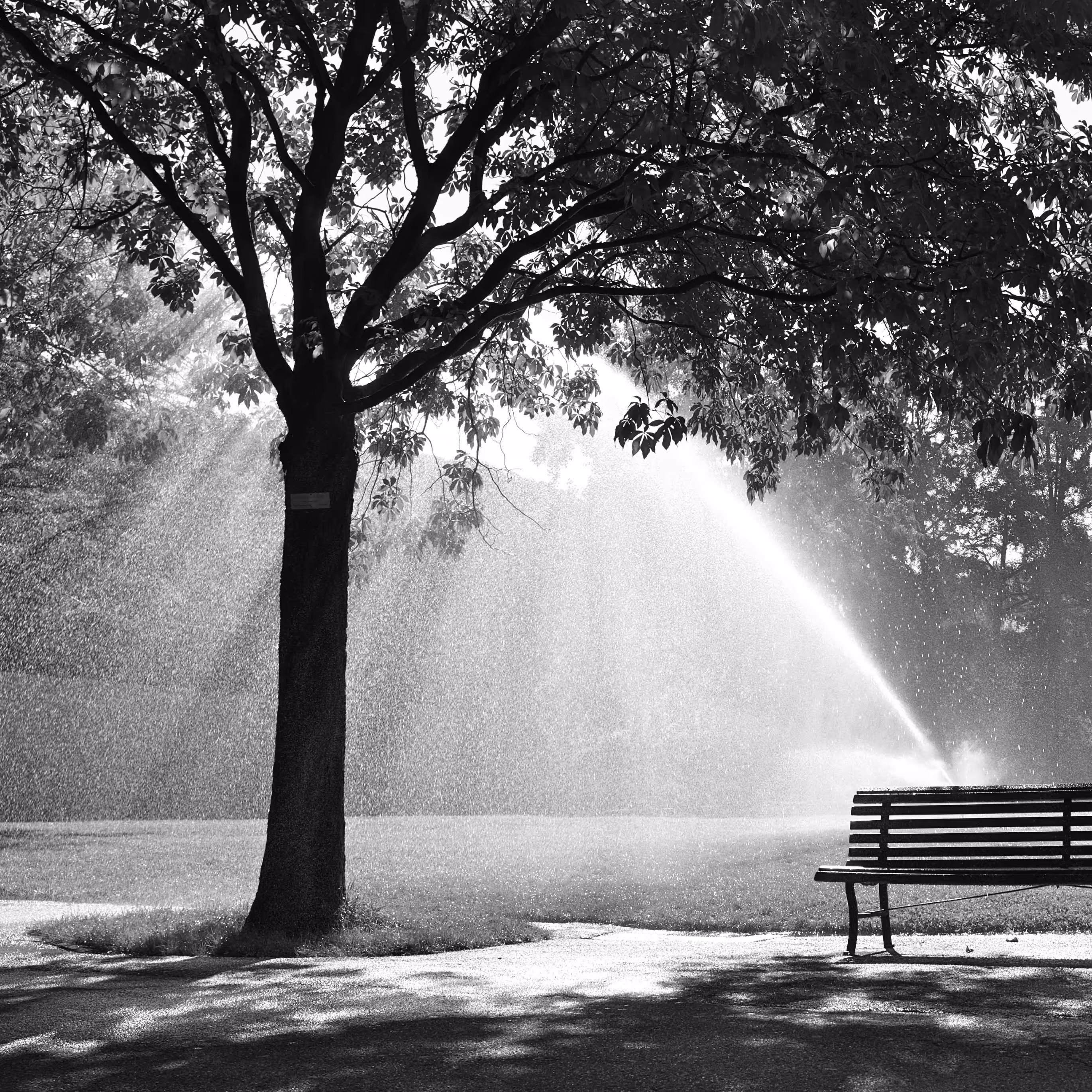 Little artificial rain #1