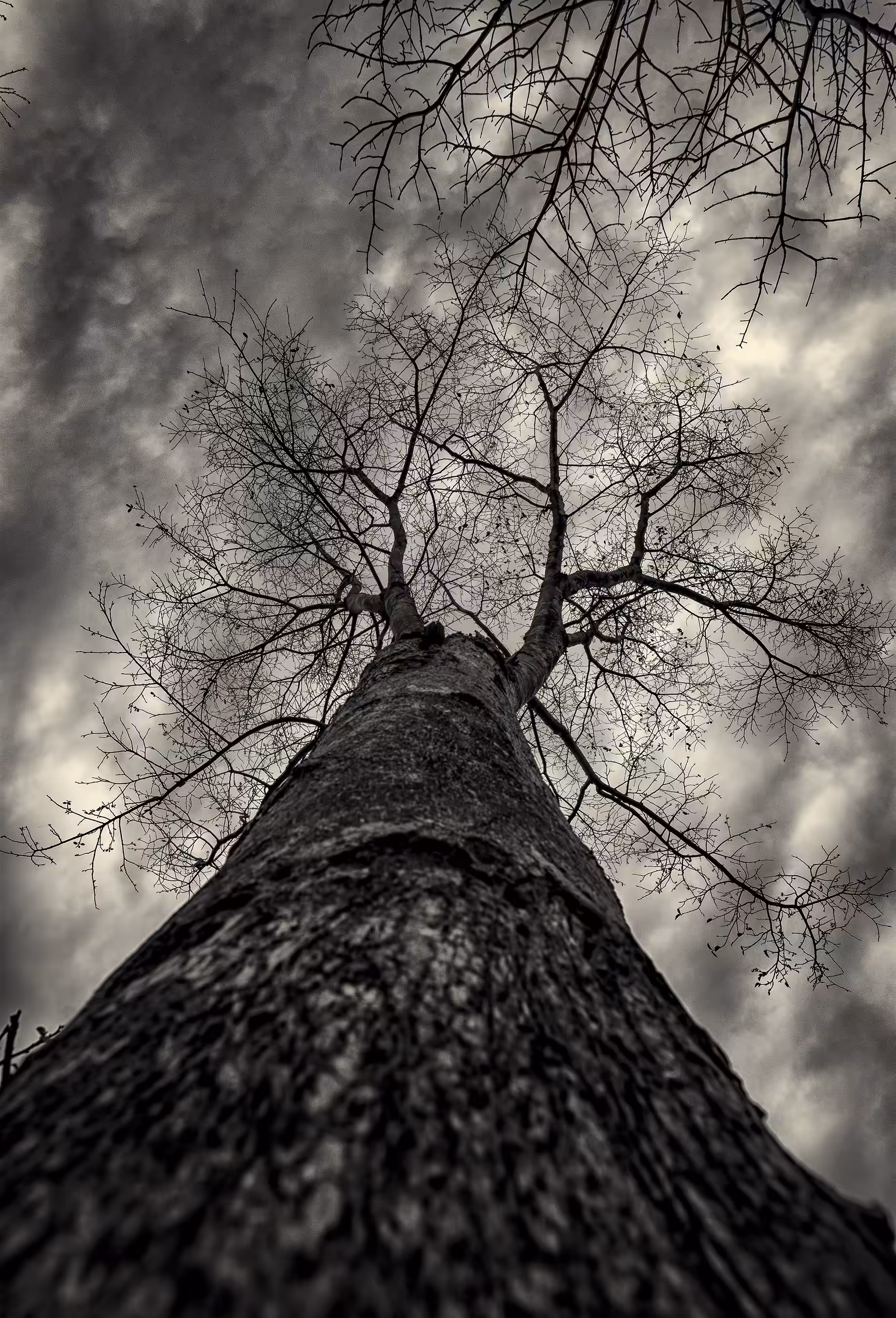 The Monsoon Hope