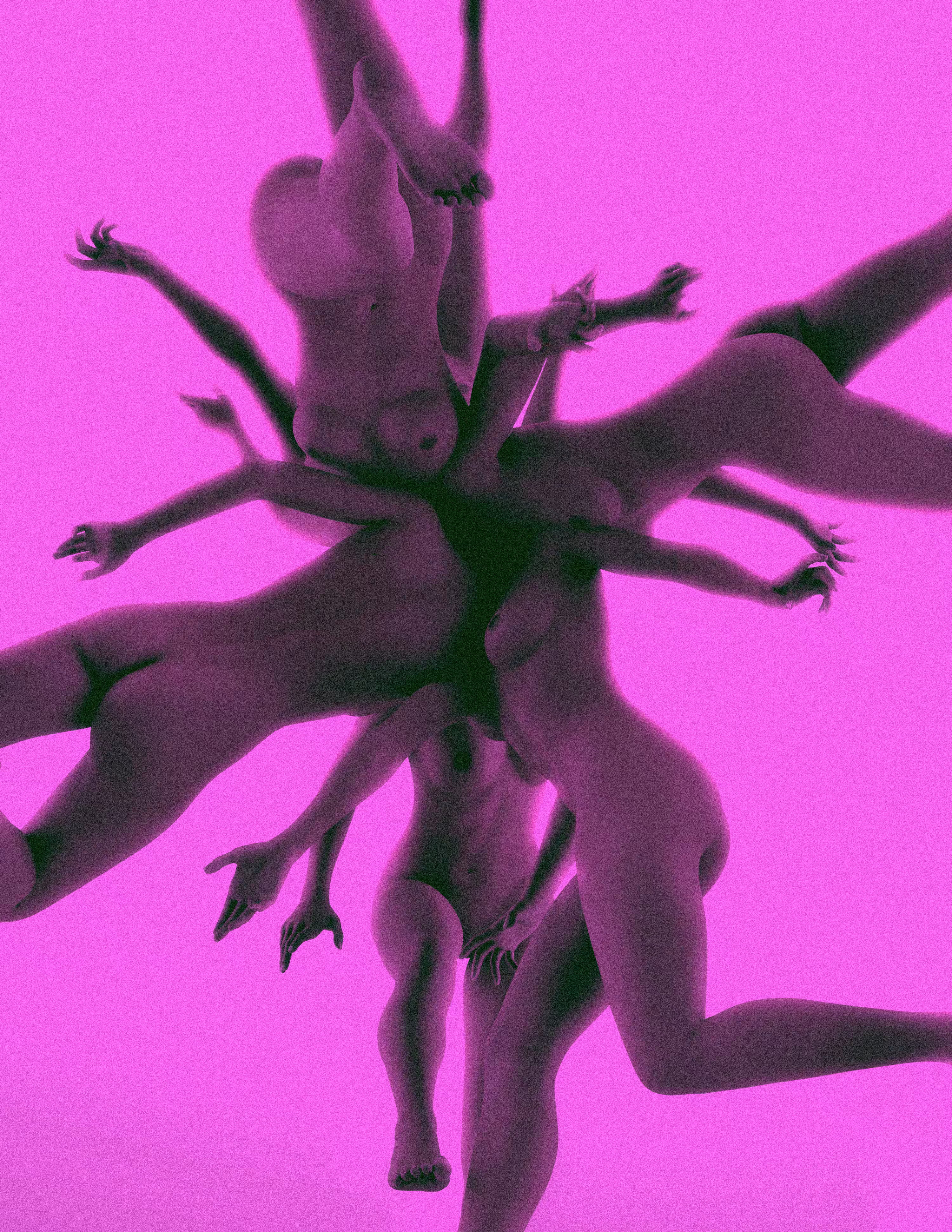 Amato Artista: connected