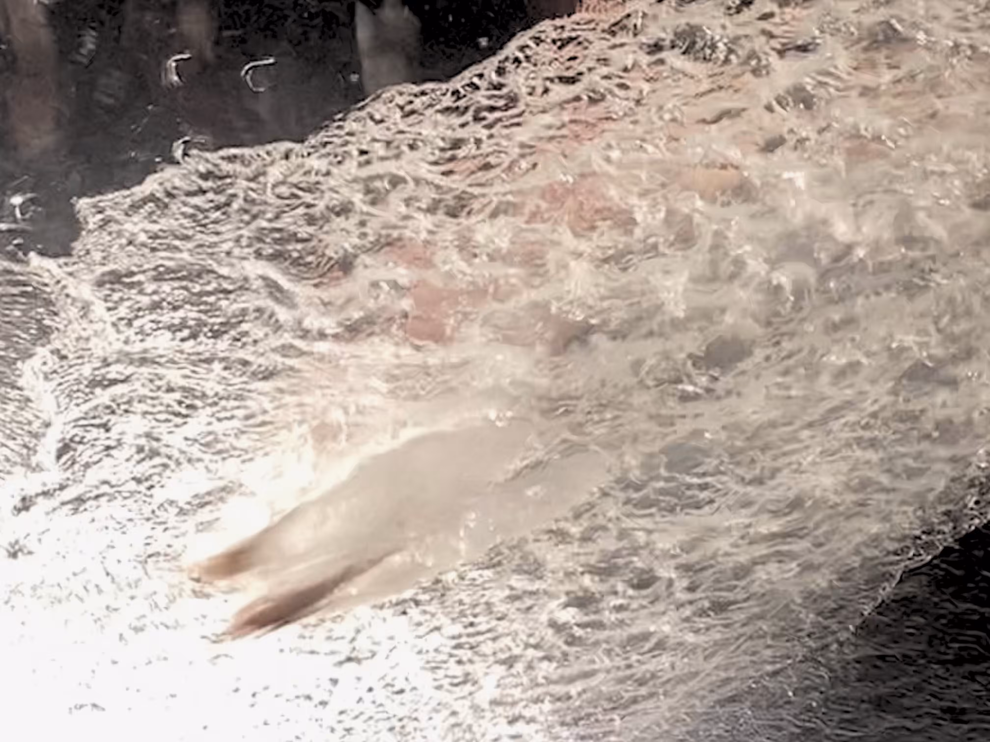 Splash
