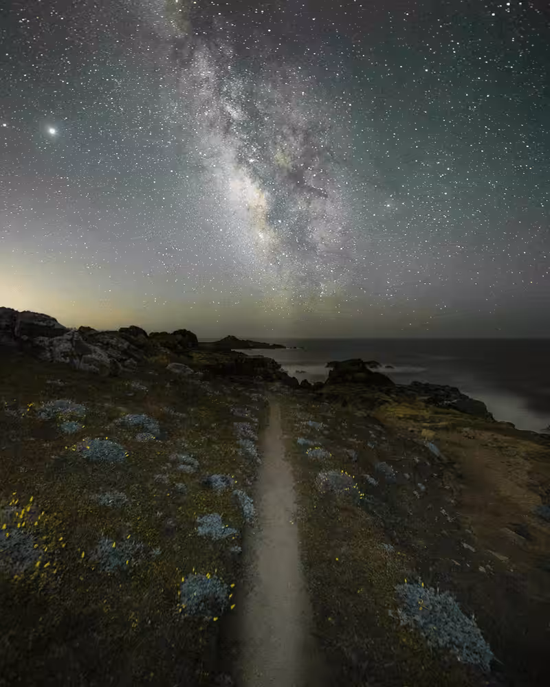 The Path