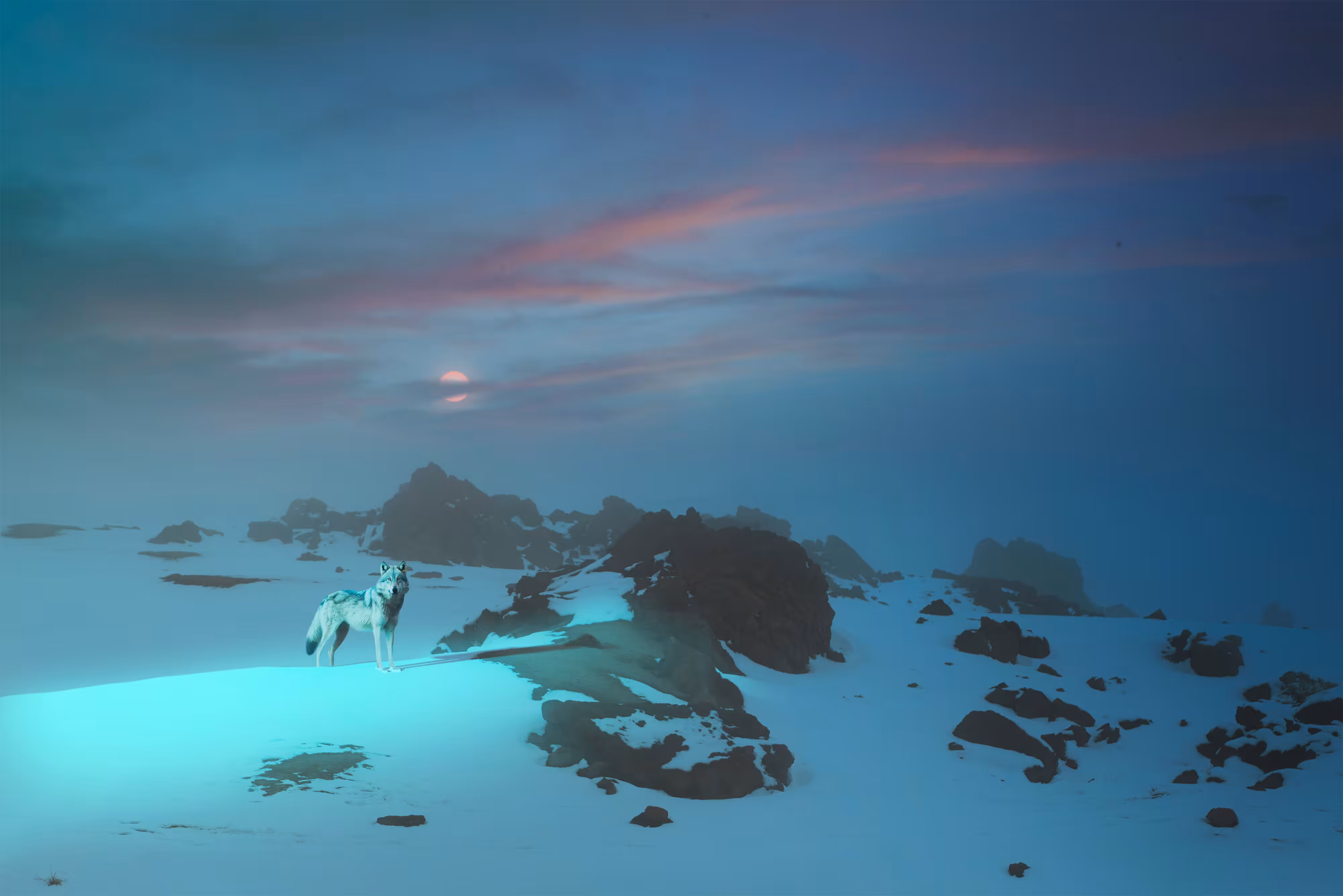 Beyond The Mist