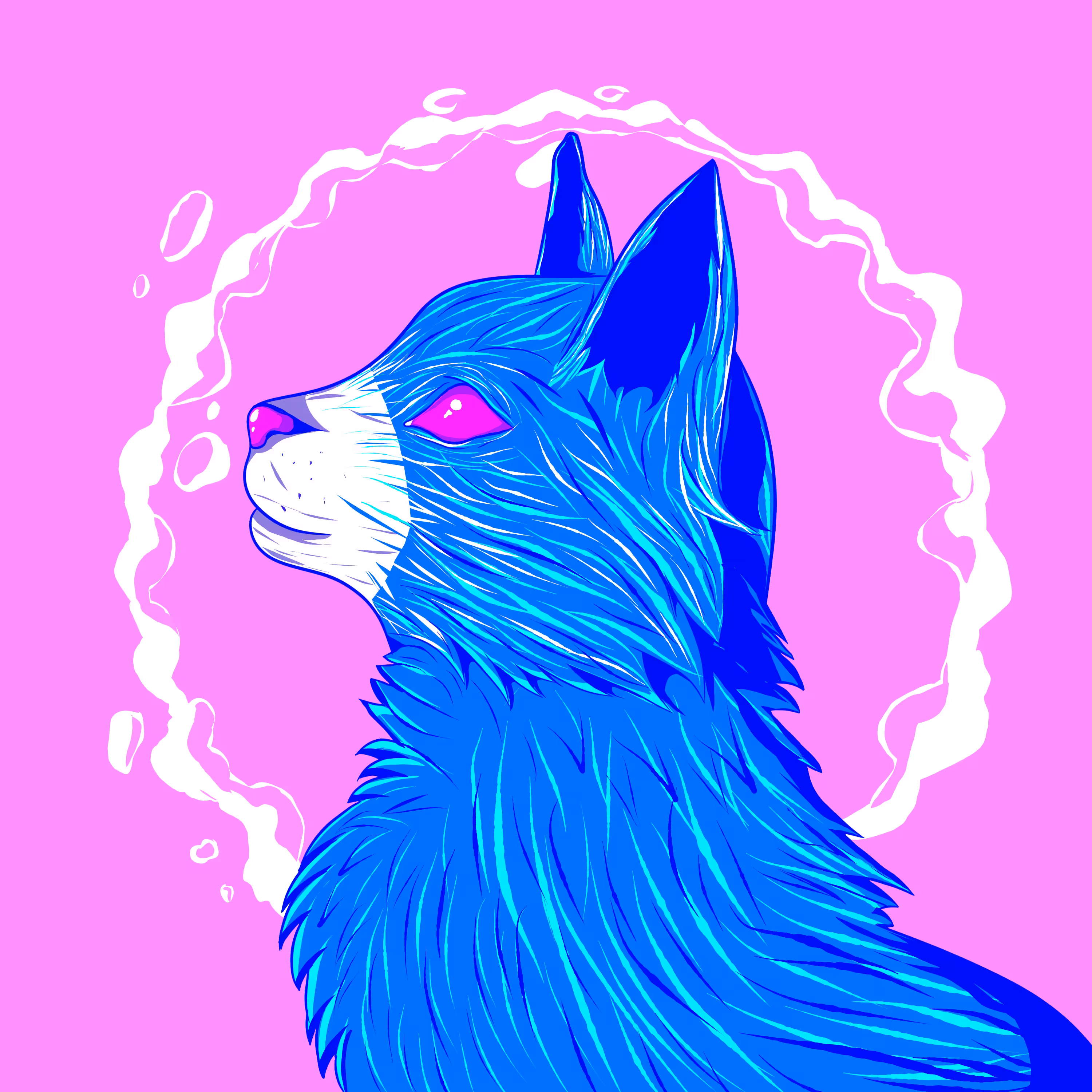 #5 Kool Cat