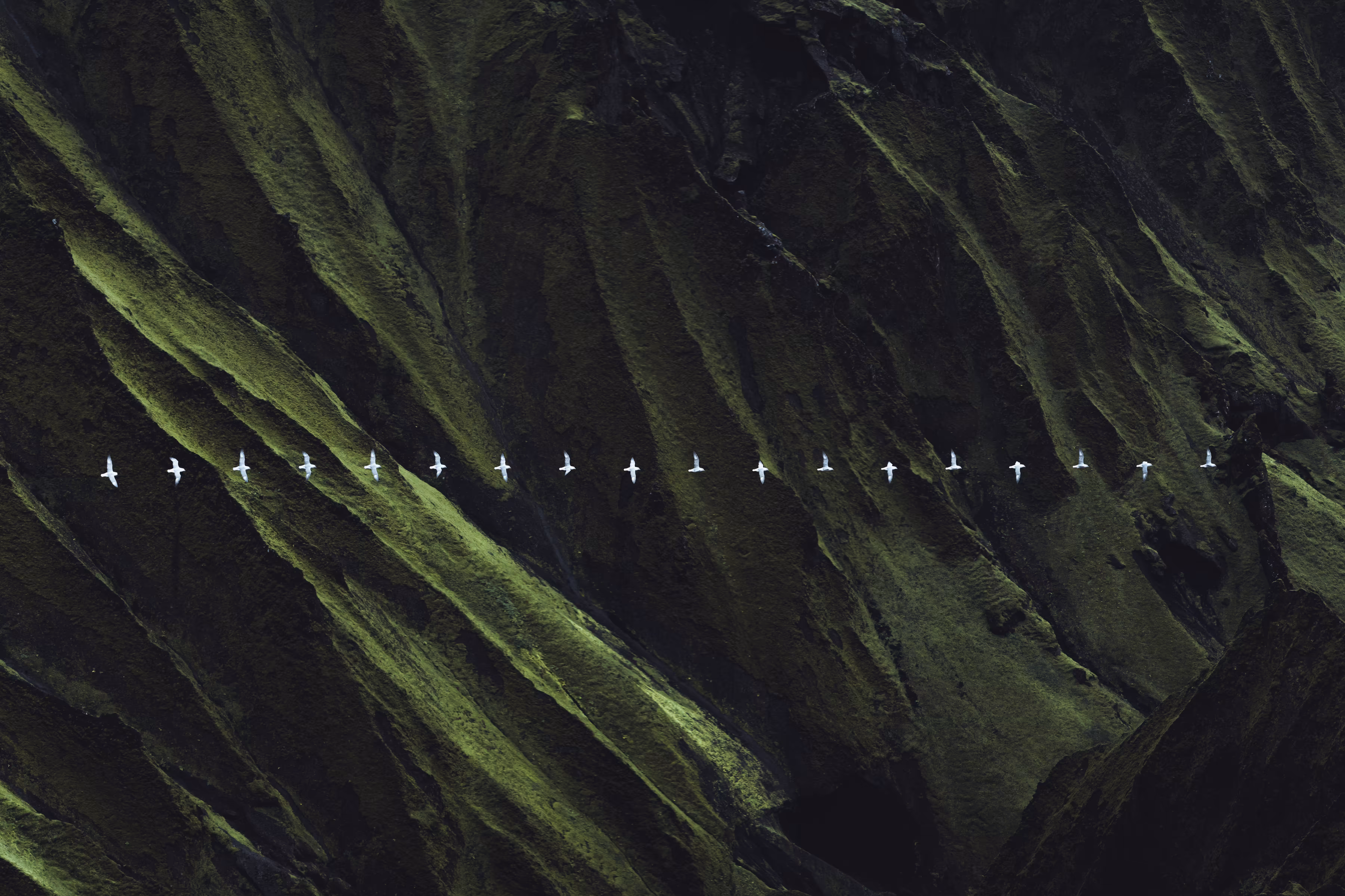 Trajectories (I)