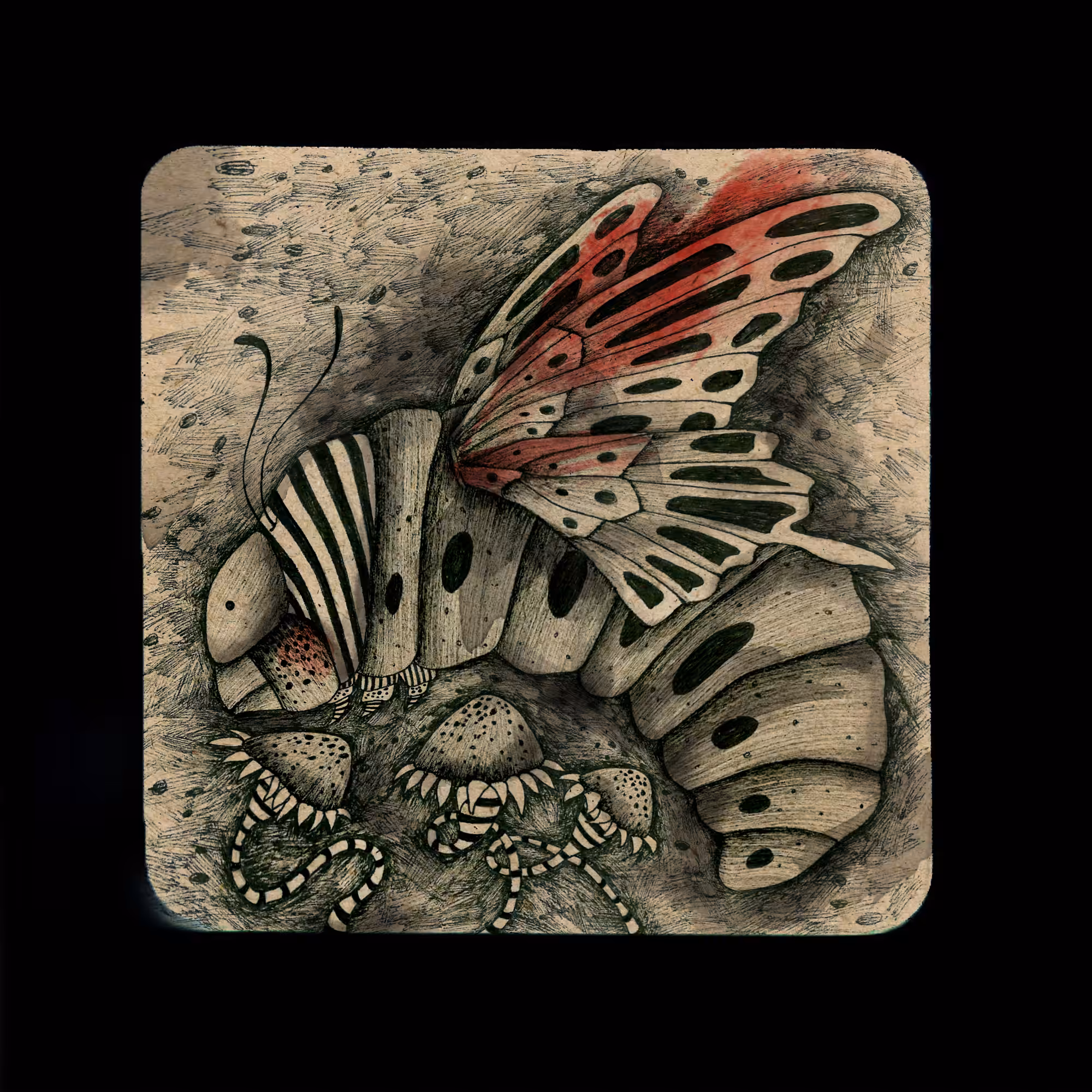 "Of Caterpillars & Butterflies"