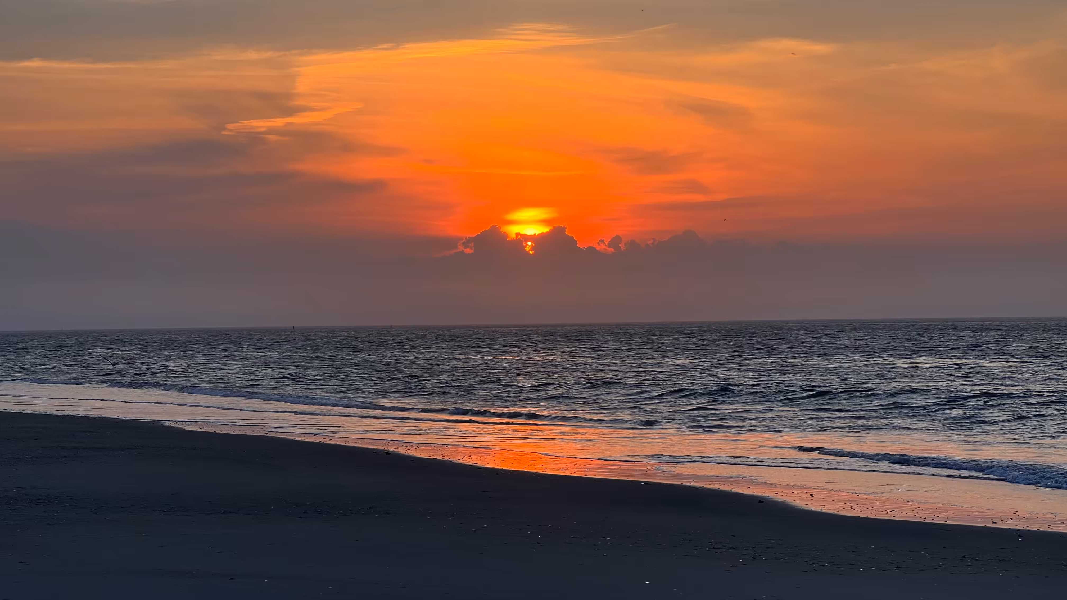 Avalon Sunrise